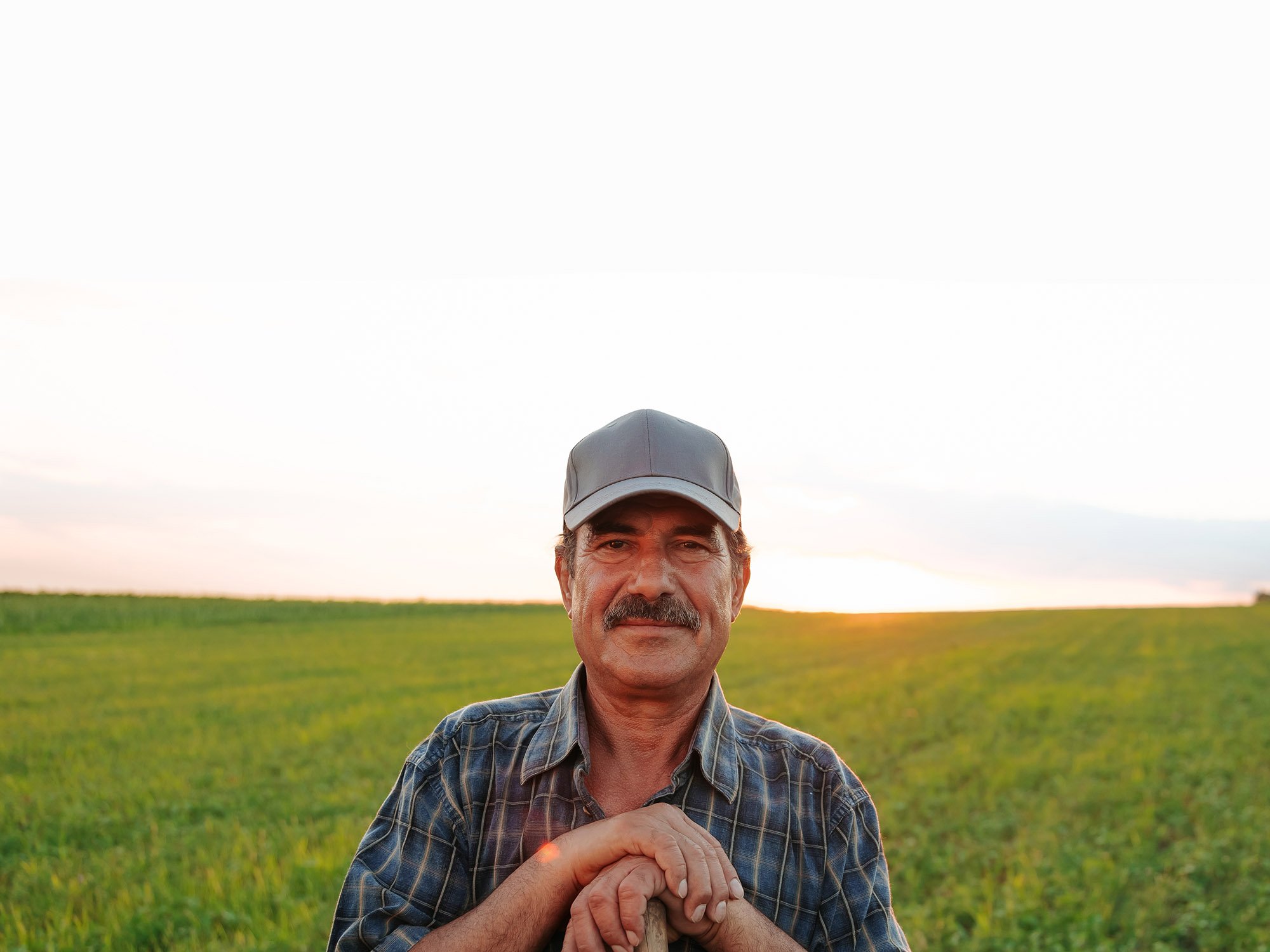 An older man with gray hair, a mustache, wearing a plaid shirt and a baseball cap, standing in a field during sunset, holding his hands together over a wooden post, with a landscape of green plants and a clear sky in the background.
