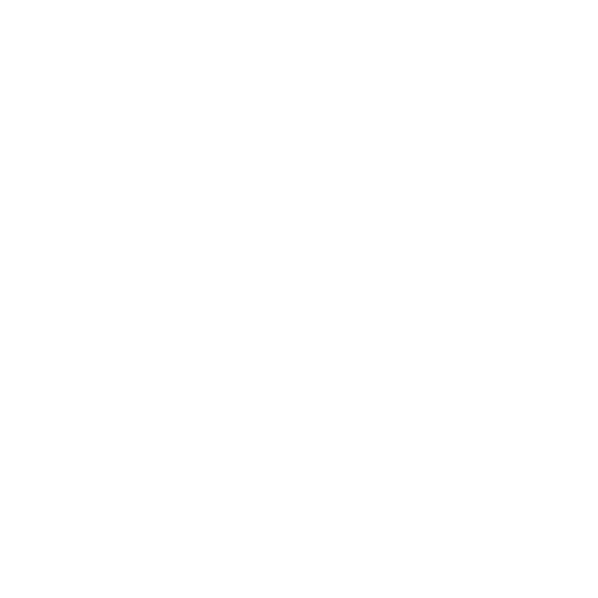 A white lightning bolt inside a white circle on a black background.