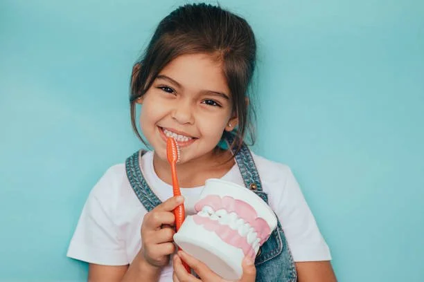 Young female patient, holding a dental model and a toothbrush.
