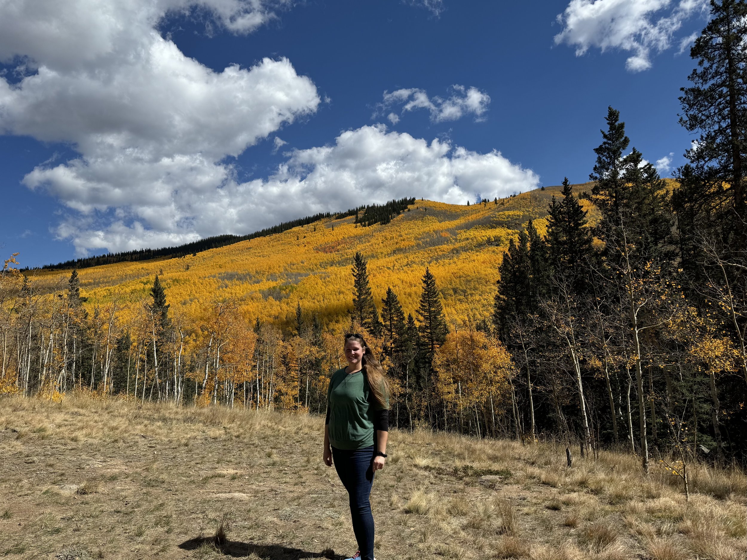 Colorado Rockies 2024 (Onsite Photo)