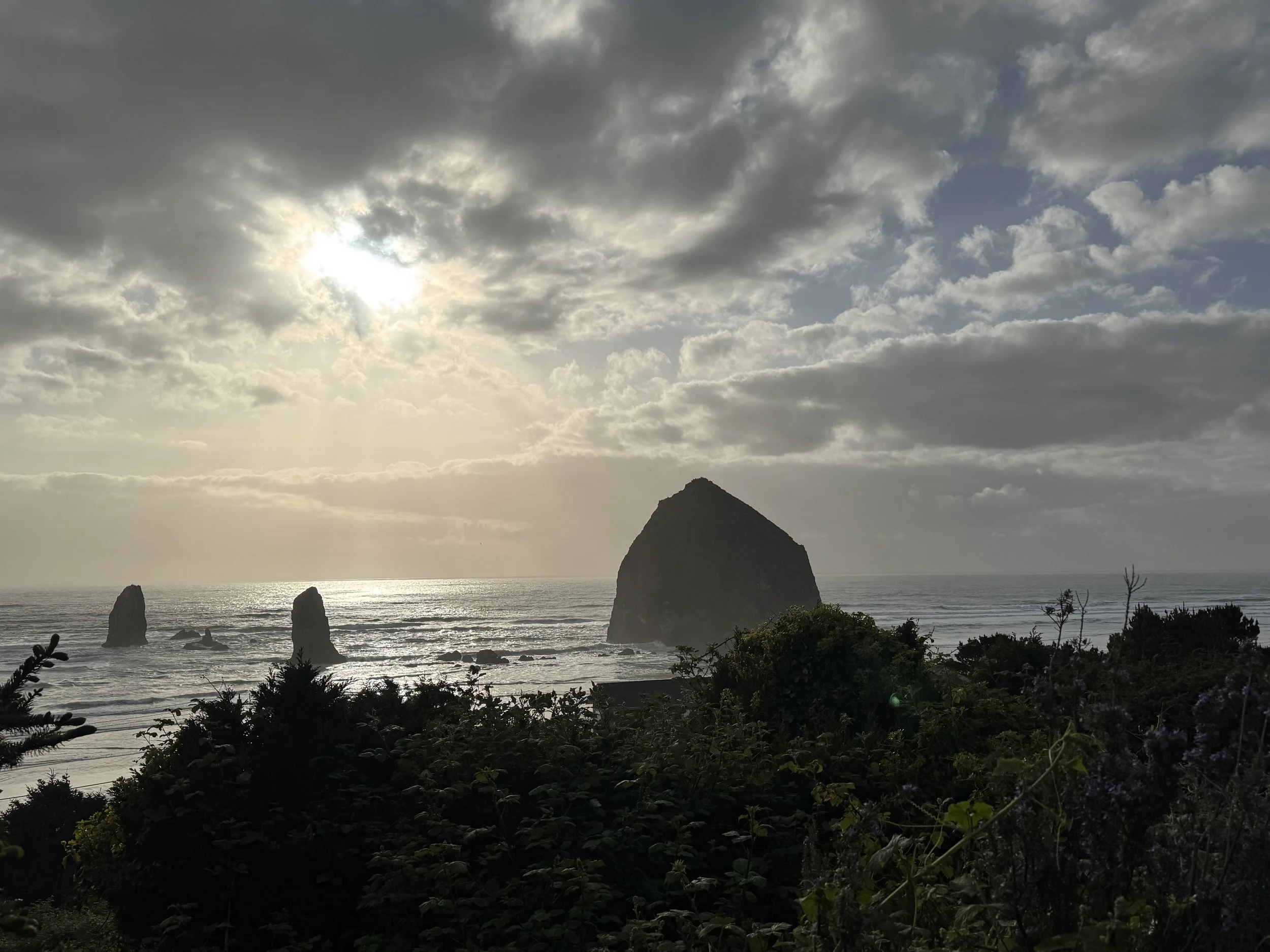 Haystack Rock, 2025 (Onsite photo)