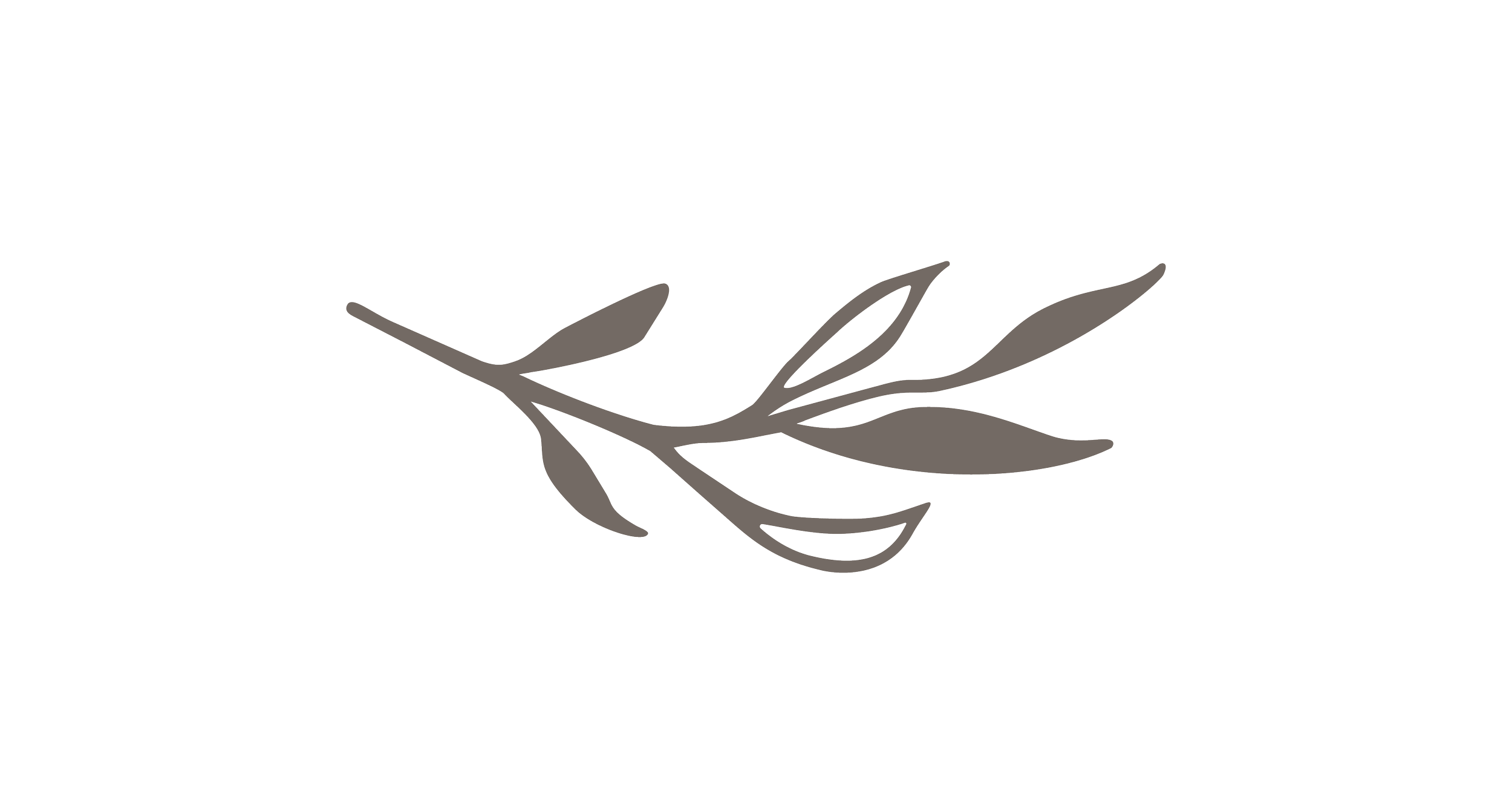 A simple black background with a gray, minimalist illustration of a sprig of leaves.