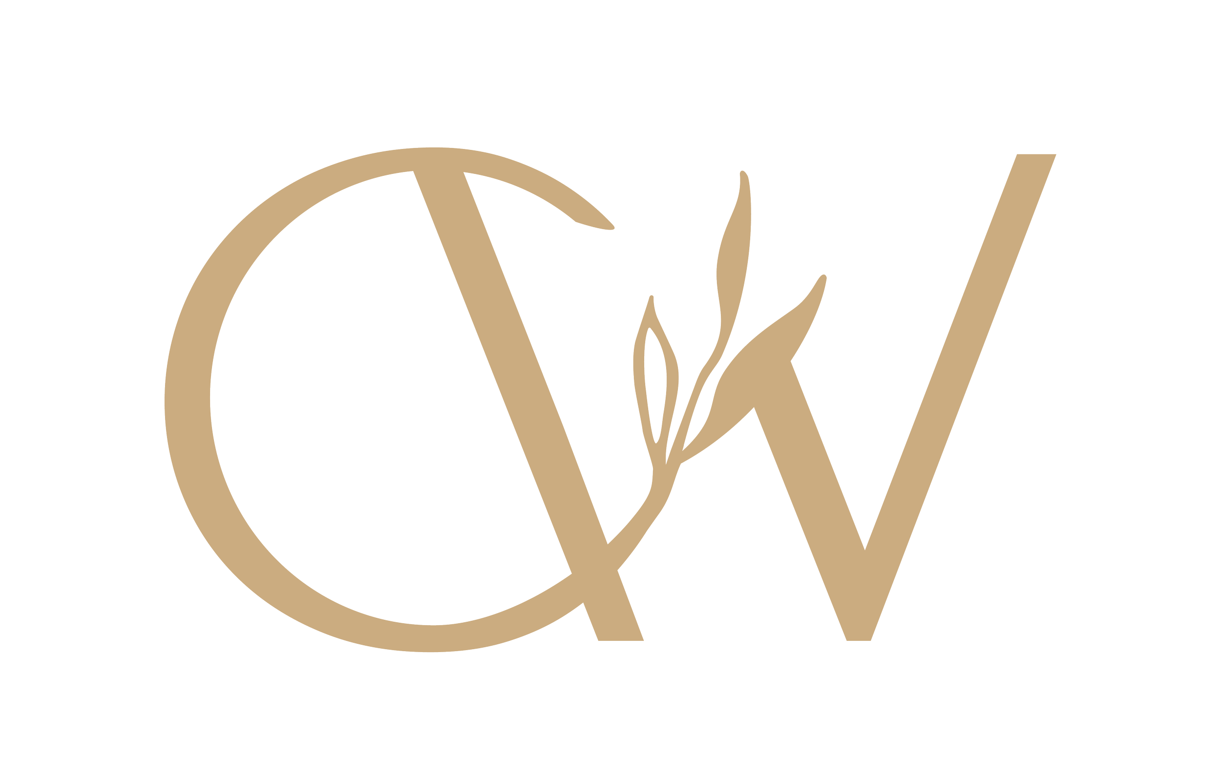 A logo featuring the letters C and V in a stylish font, with a sprig of wheat intertwined between the letters.