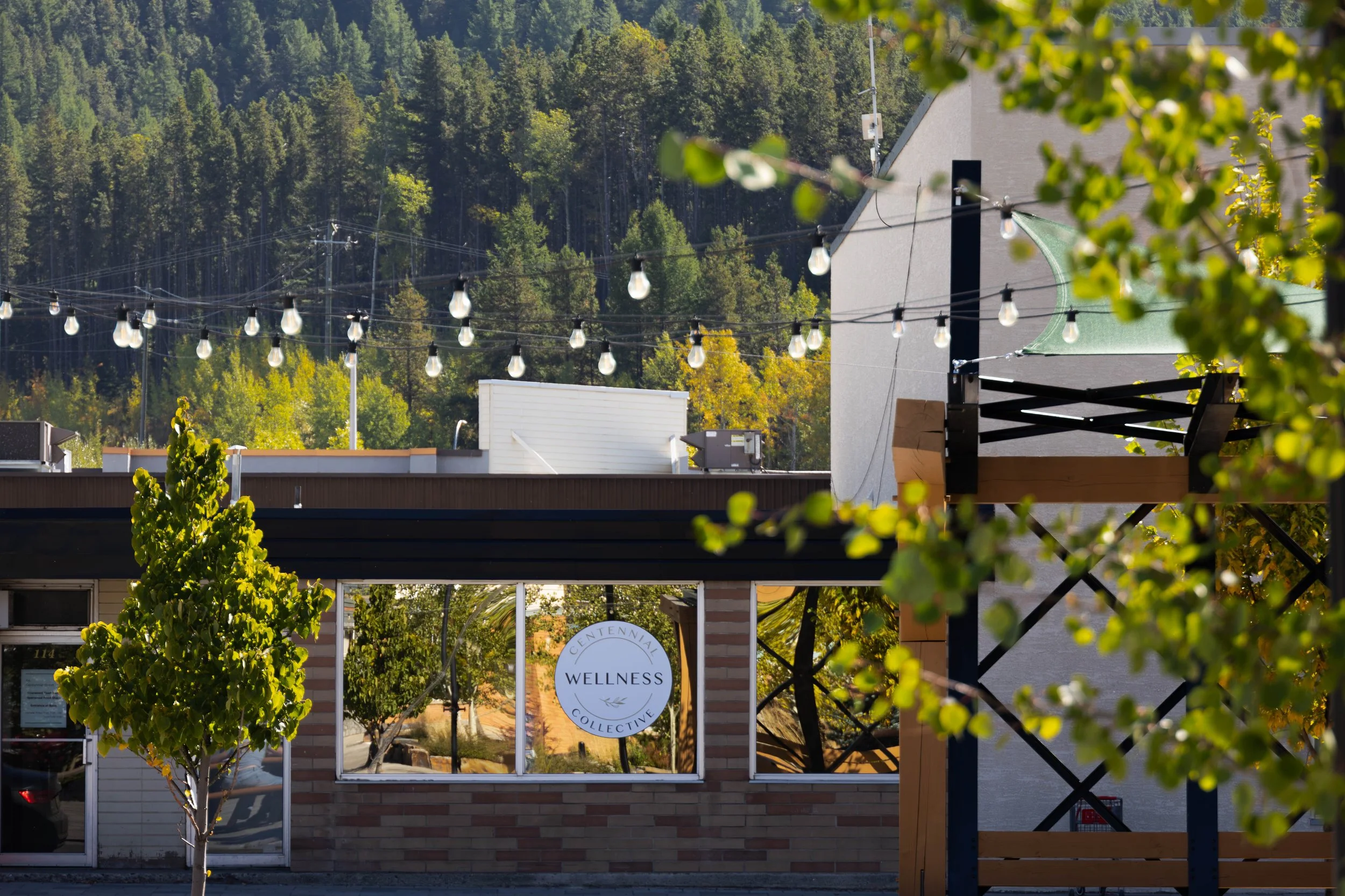 Exterior of a wellness collective business with string lights, a window with signage, and trees, with a wooded hillside in the background.