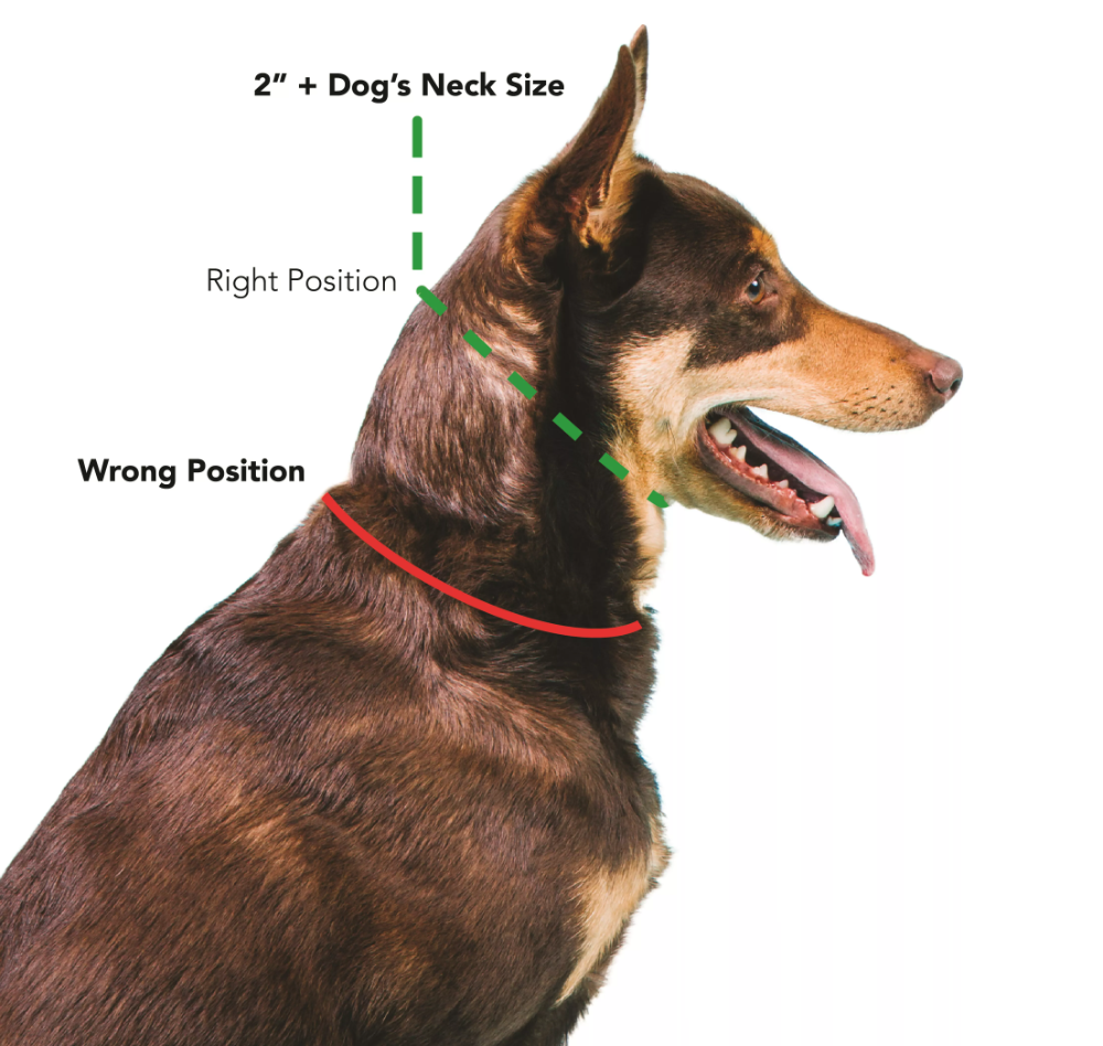 prong position.png