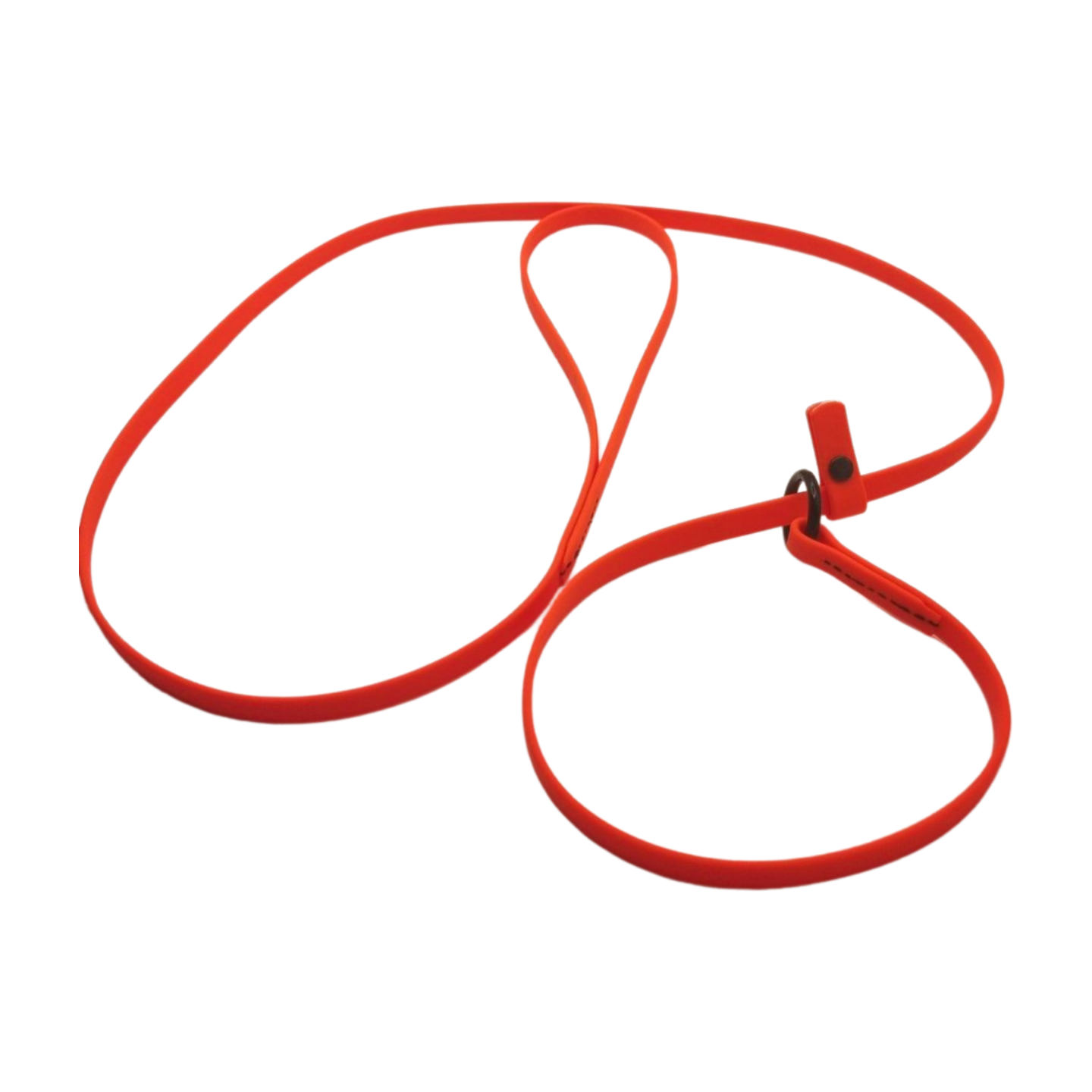 BioThane Lightweight Waterproof Slip Lead 5ft.