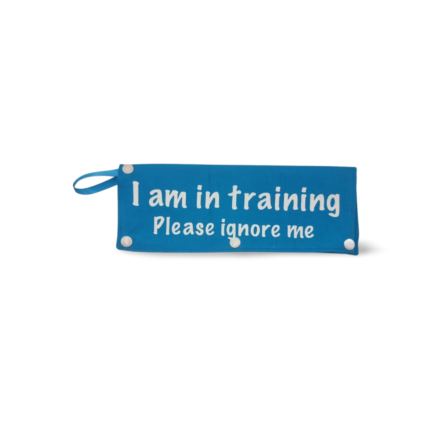 Dog Training Leash Wrap