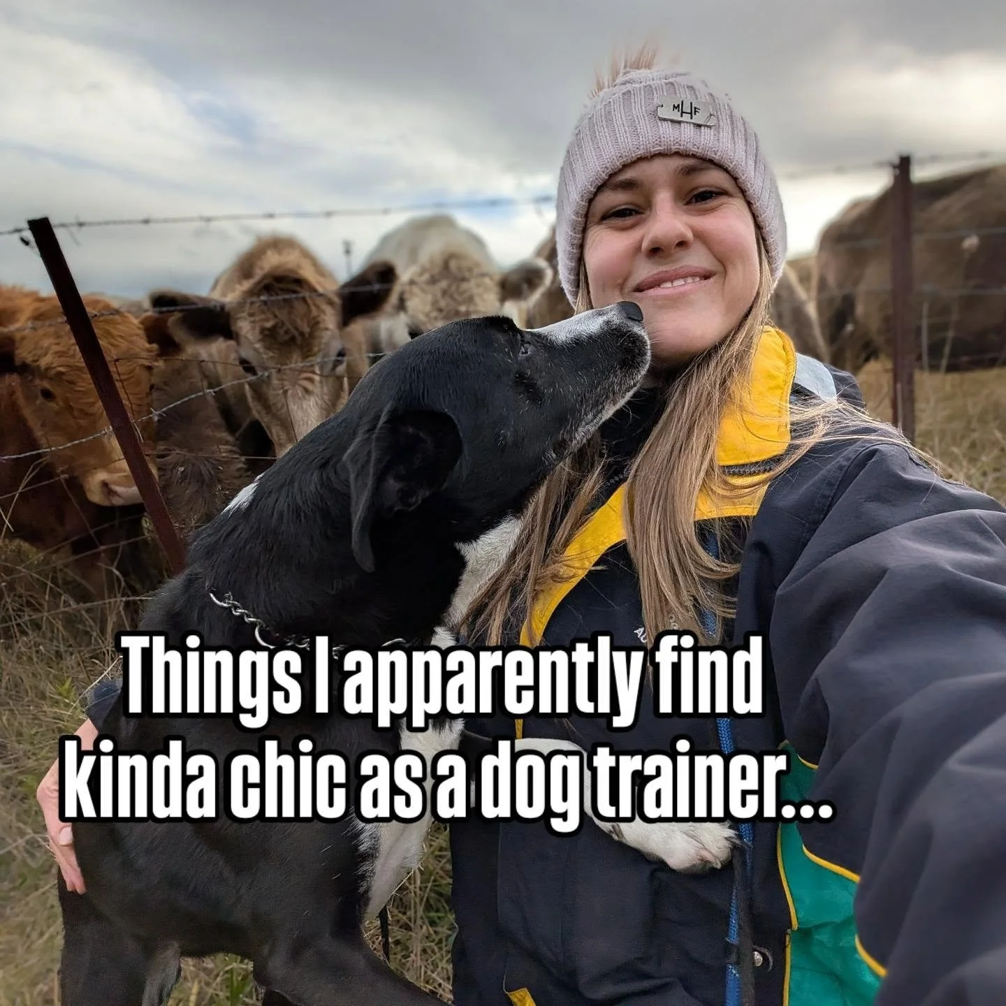 Kinda chic to stop treating your dog like a fragile little Victorian child and just&hellip;  train them

Boundaries. Structure. Accountability. Freedom.

Apparently controversial. Still chic.

#dogtrainer #dogtraining #trainyourdog #sydneydogtrainer 