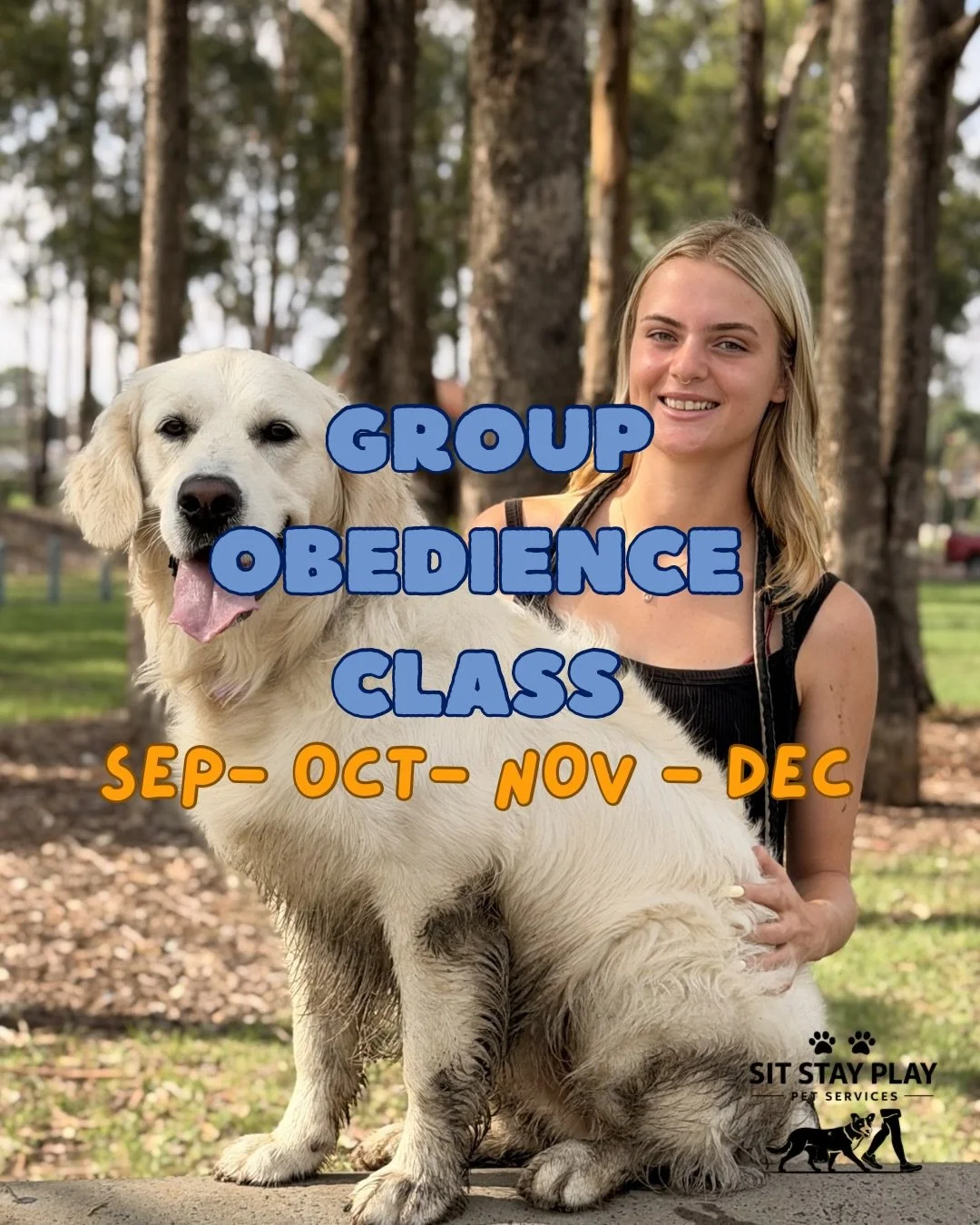 Group class dates for the rest of 2026!

In our group class, we challenge your dog&rsquo;s obedience through a variety of exercises, targeting focus, impulse control, engagement, reliability around distractions, and confidence in real-world environme