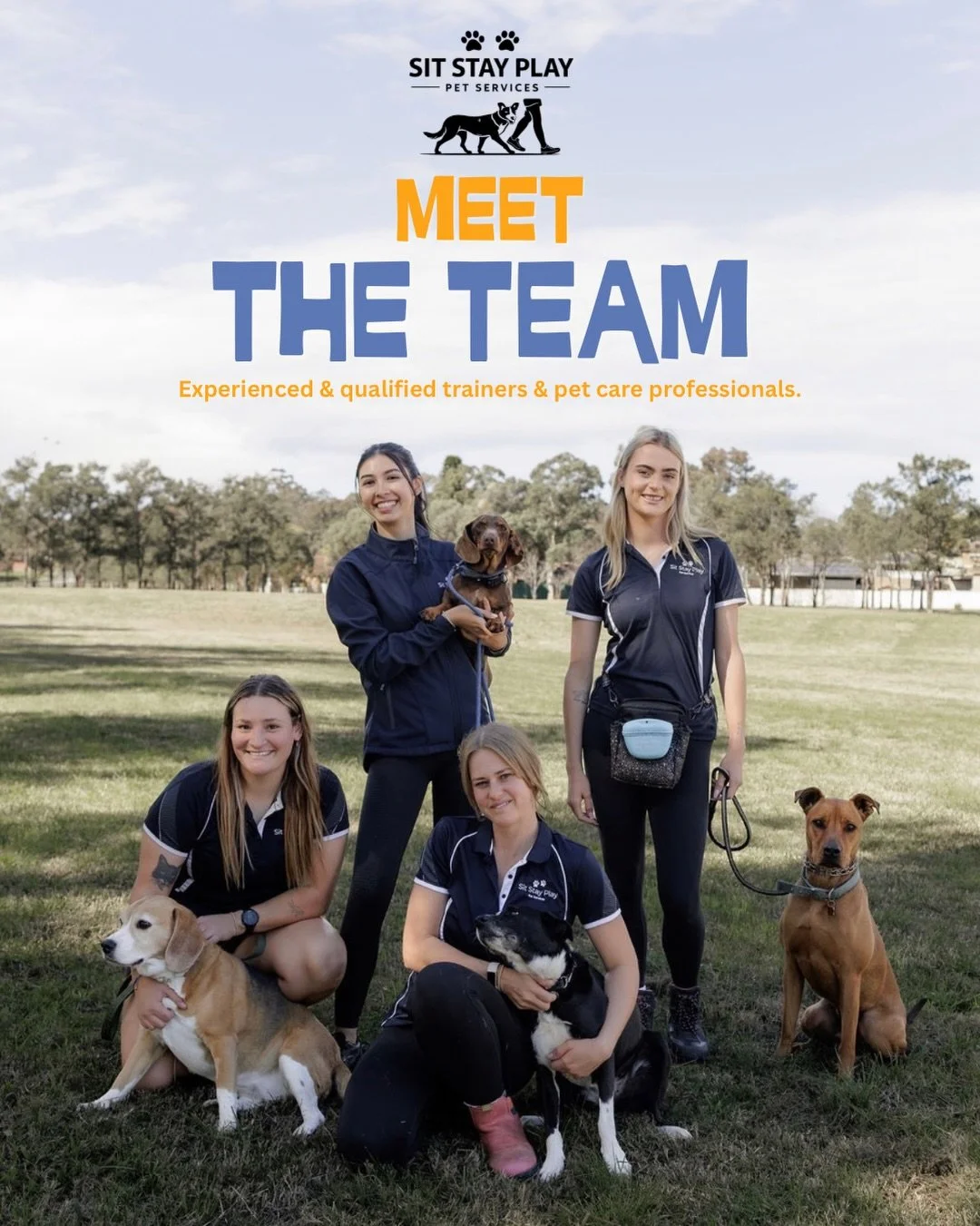 MEET THE TEAM 🐾

Our team of experienced and qualified handlers are passionate about helping dogs and their owners build better communication, confidence and connection.

From training and behaviour to everyday handling, our team brings years of kno