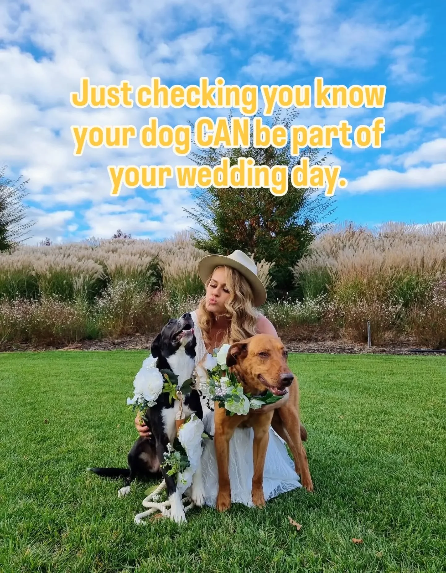 You&rsquo;ve planned the venue, the flowers, the photos, but who&rsquo;s looking after the dog? 👀

Just checking you know, you DON&rsquo;T have to nominate a bridesmaid, groomsman or family member to be on dog duty all day.

That&rsquo;s literally w