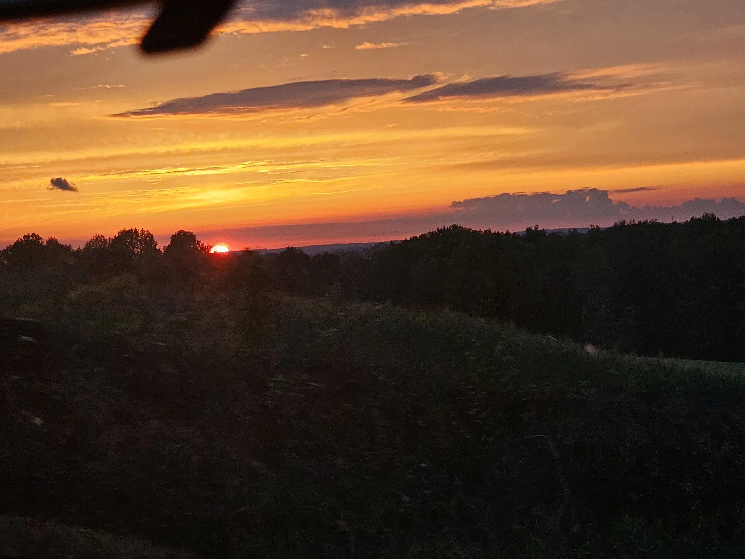 20240503_193942.jpg
