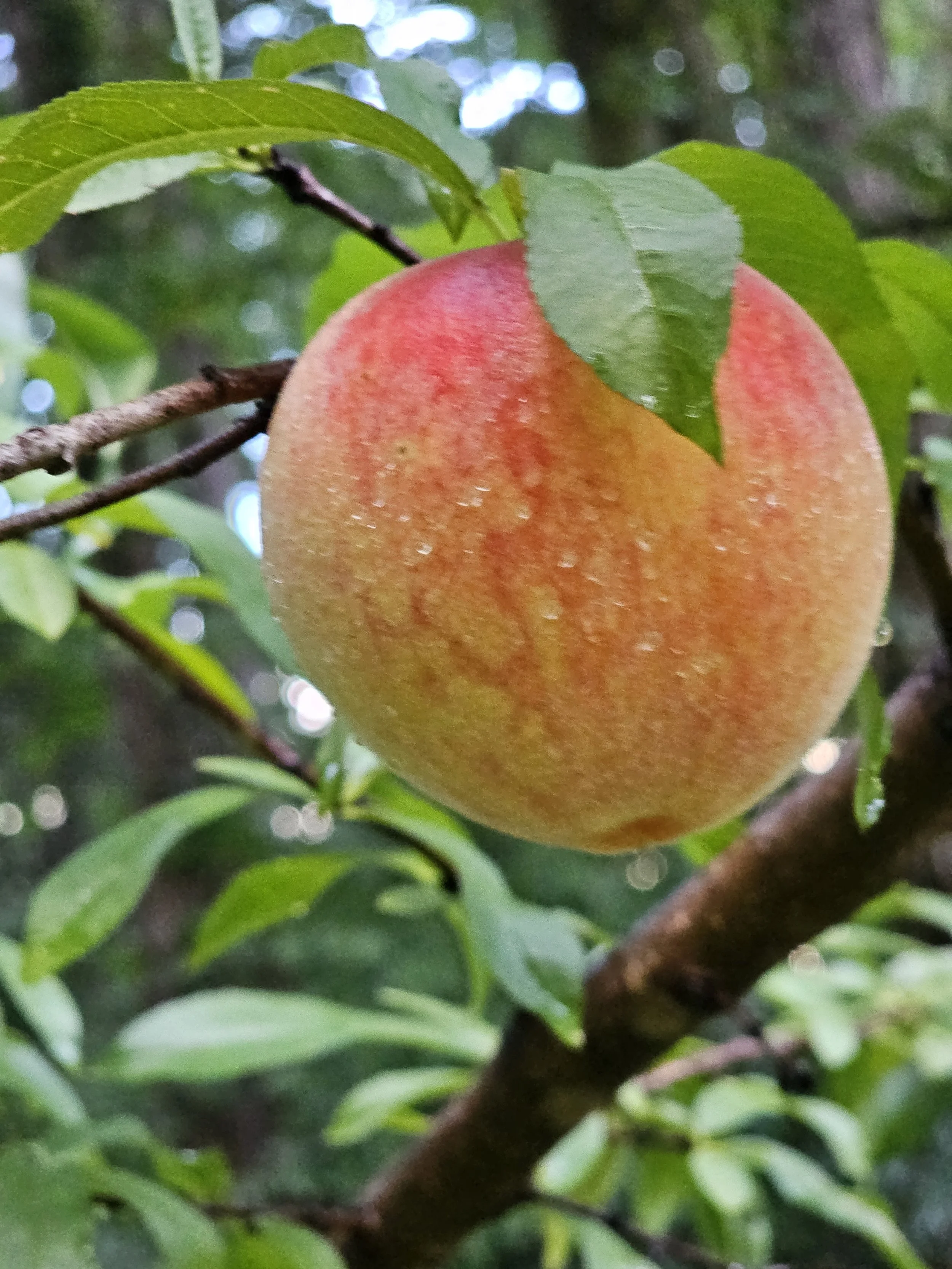 20260707_192859.jpg