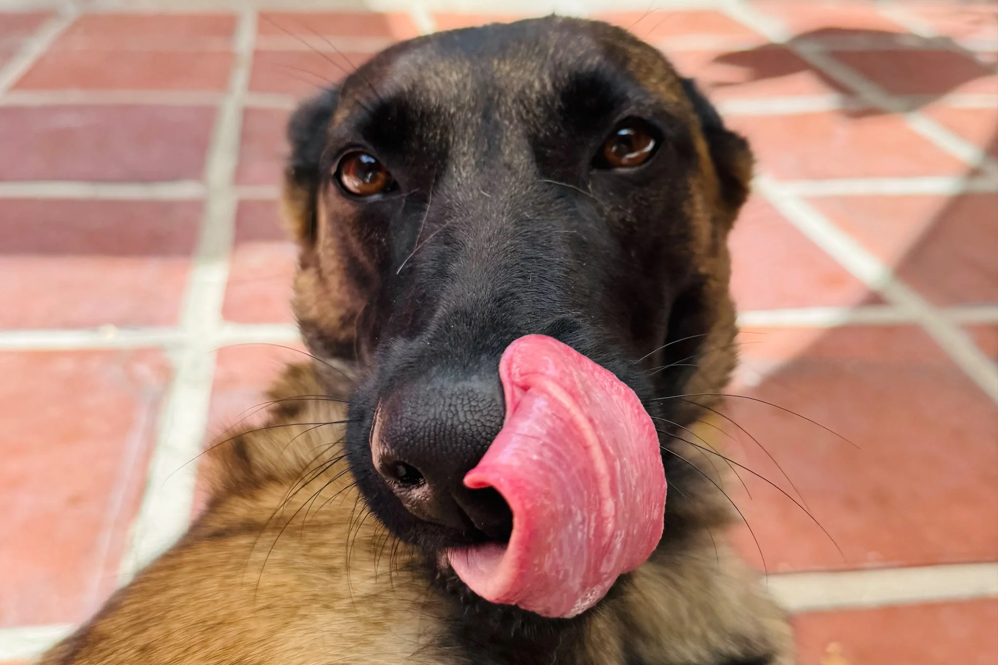 PHOEBE_FACE.jpg