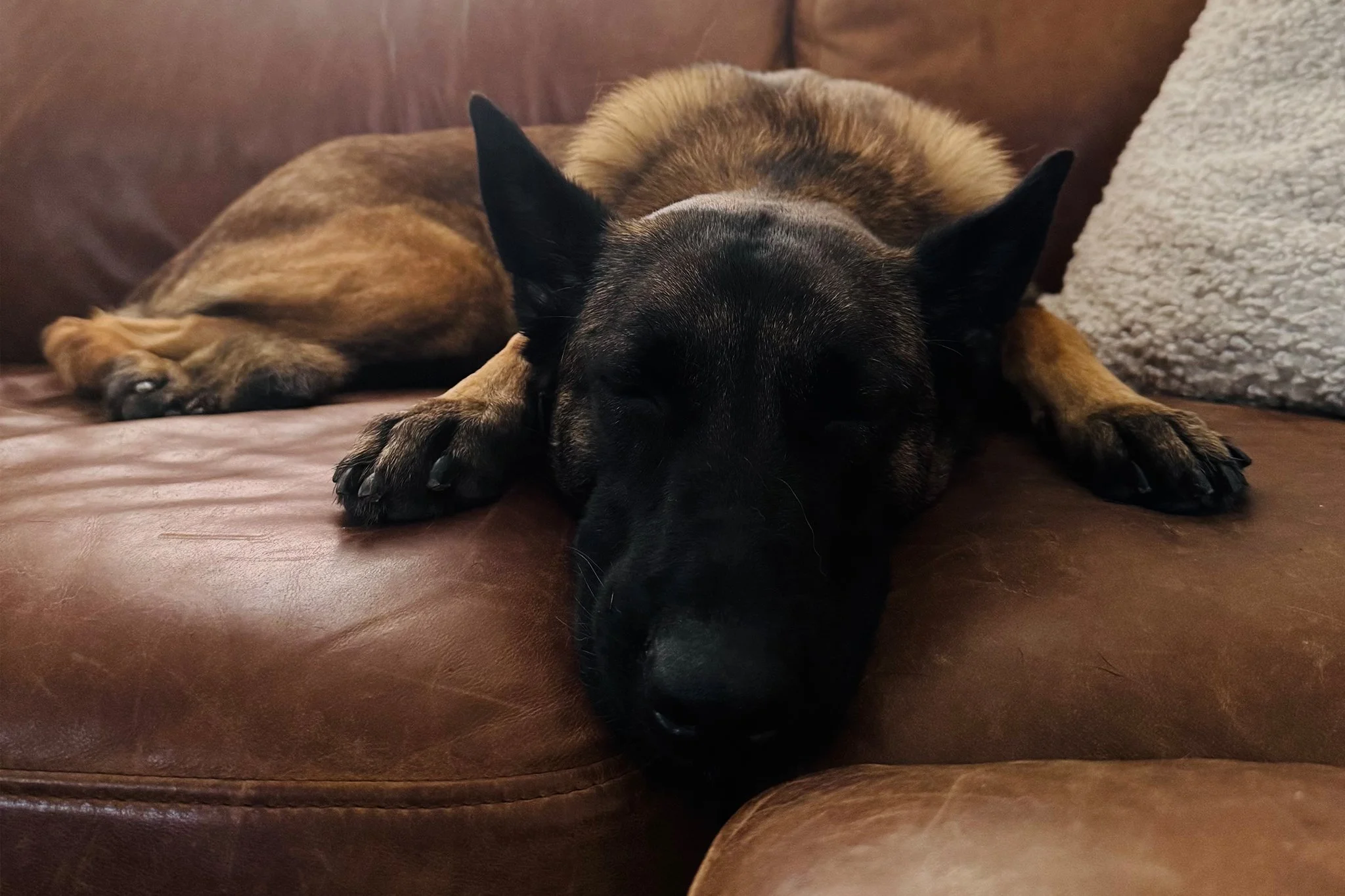 PHOEBE_COUCH.jpg