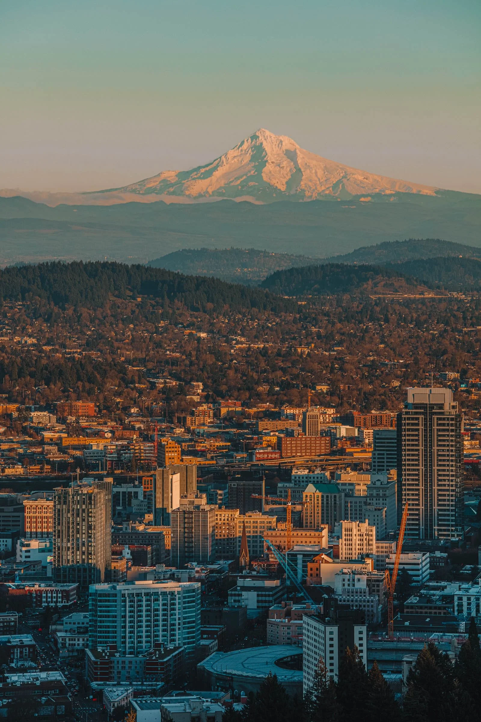 Portland, Oregon skyline with Mount Hood in the background.