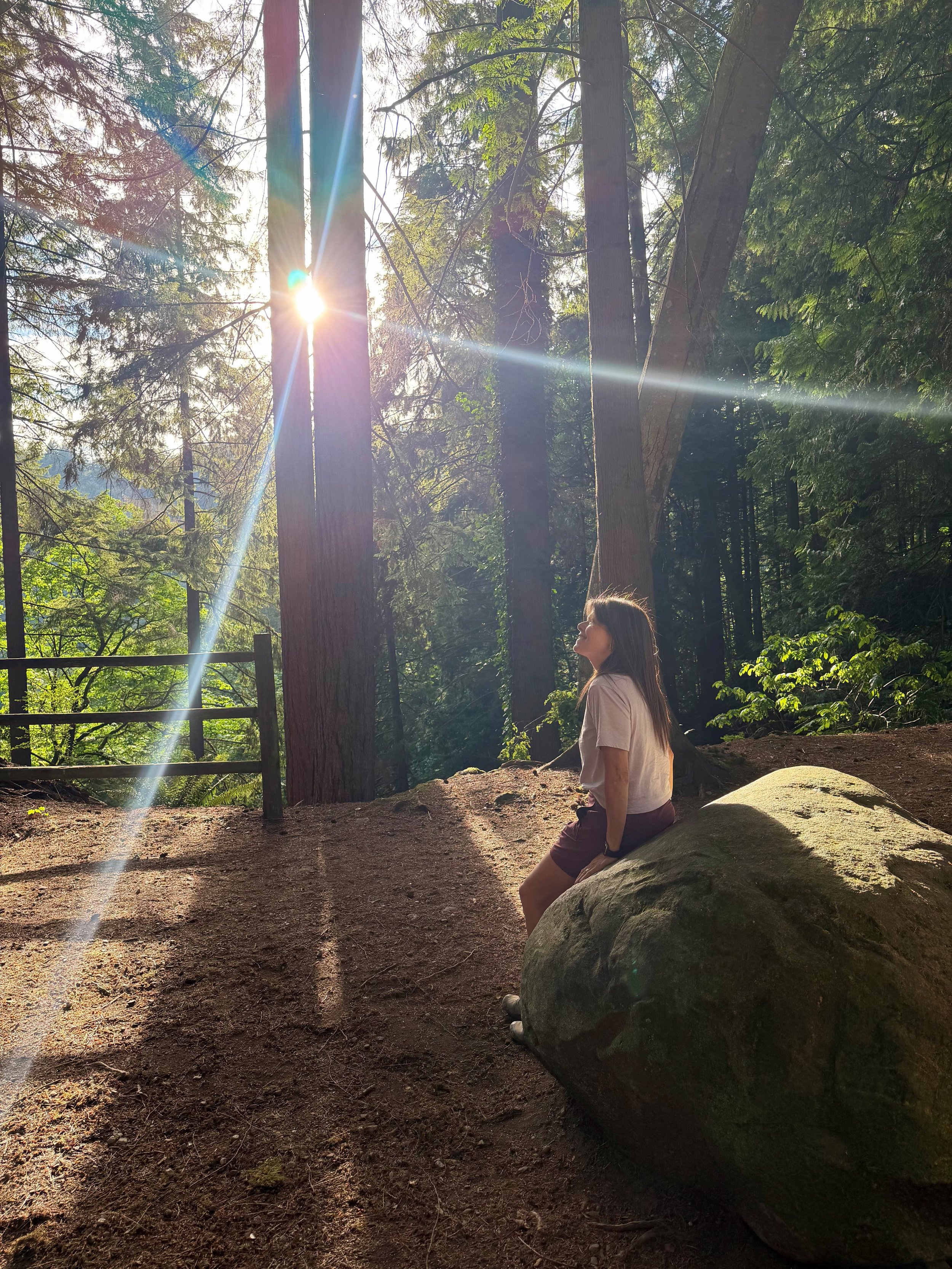 Tina sitting on a large rock in a forest with tall trees, sunlight streaming through the branches, and a dirt ground with some green foliage.