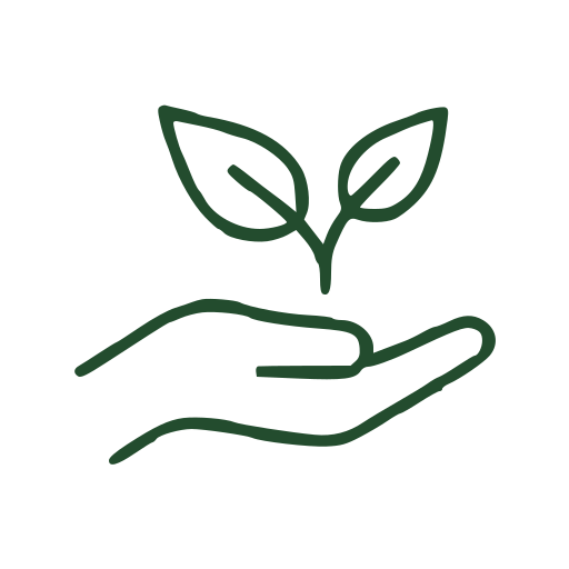 Hand holding a sprouting plant representing career and business growth.