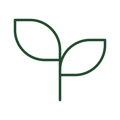 Sprouting plant representing long-term growth and relationships.