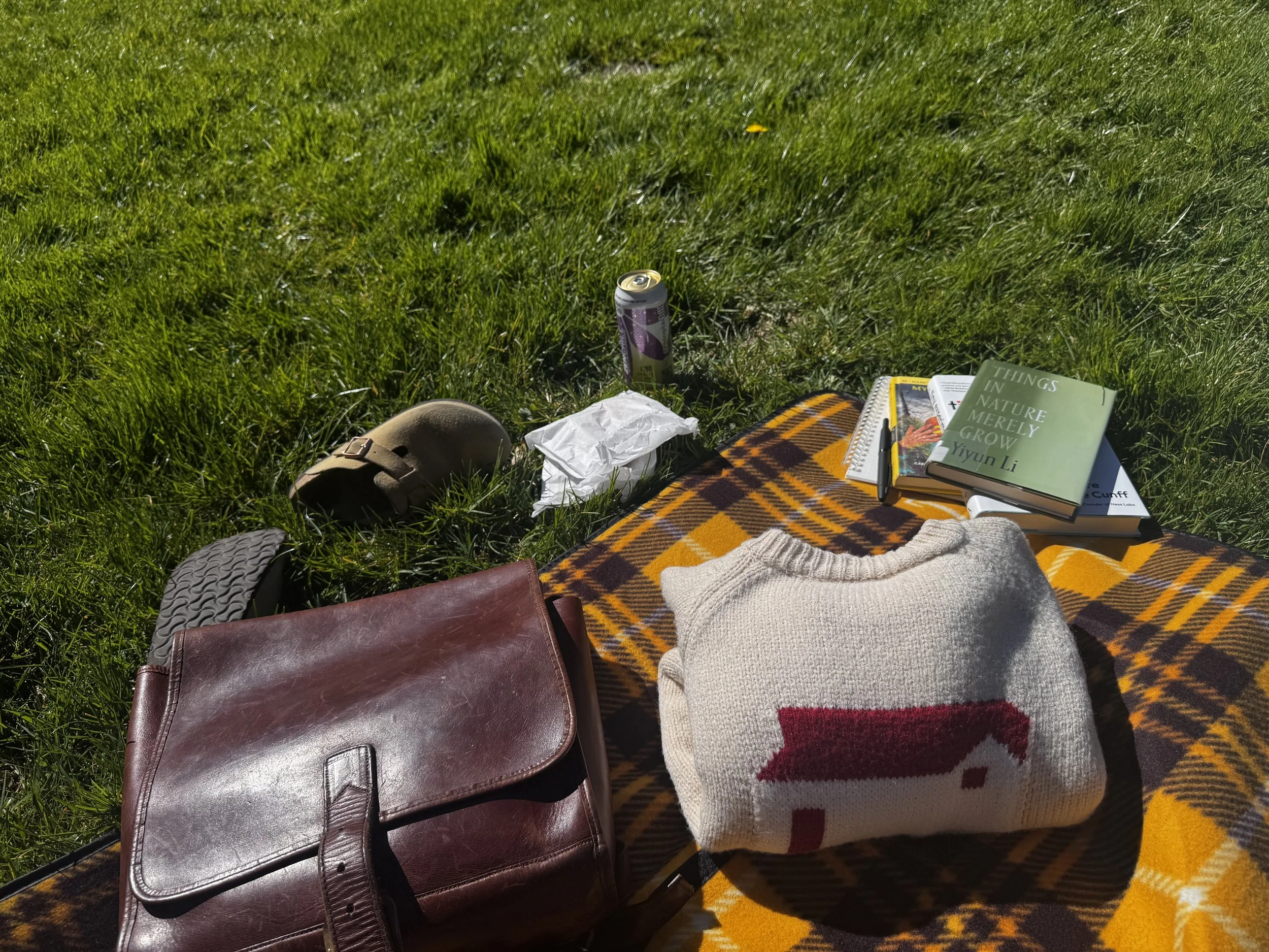 A grassy field with a plaid blanket on the ground holding books, a coffee mug, and a sweater. Personal items include a leather bag, a shoe, and a can of soda.