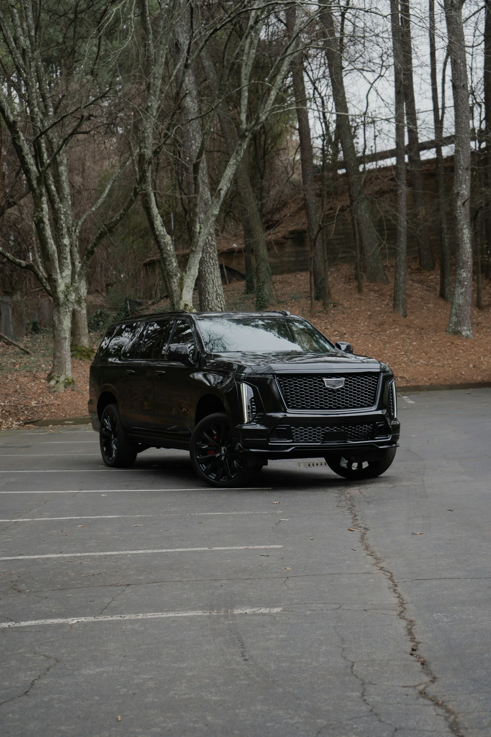 Medical & Appointment Transportation