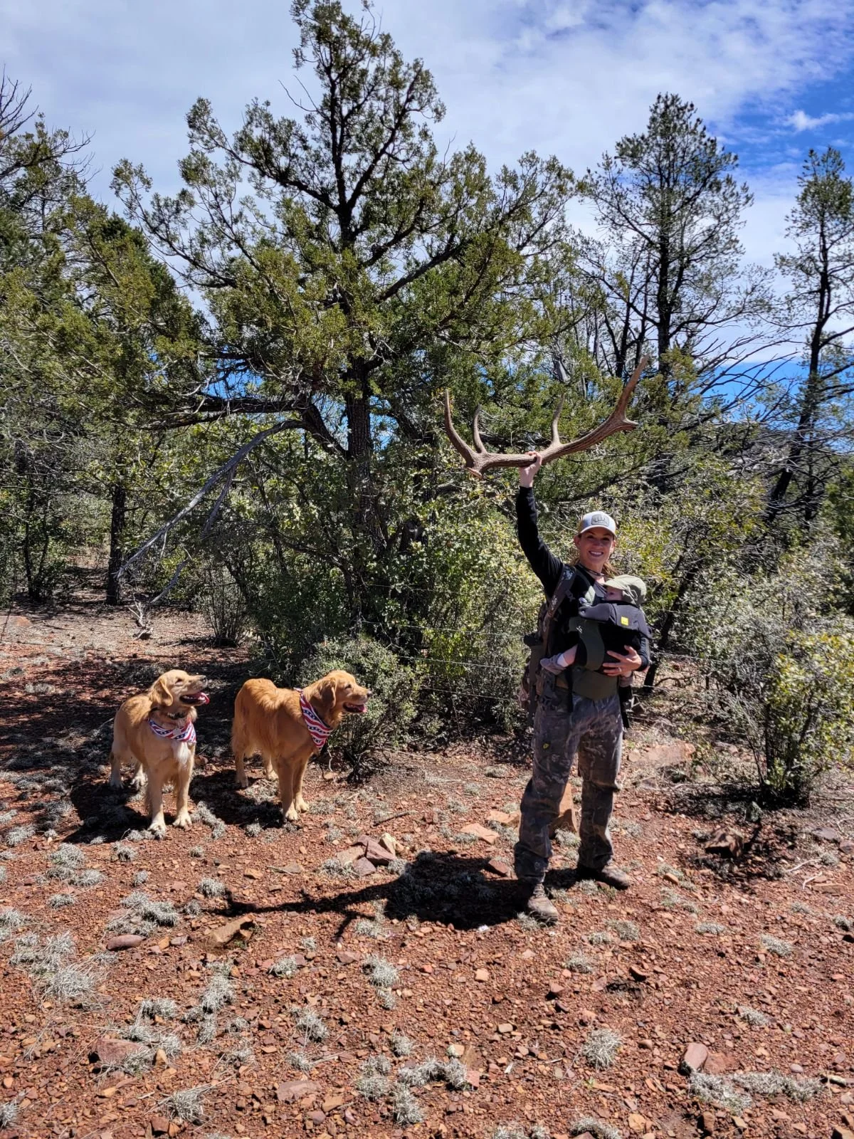 A woman smiling outdoors in a forest, holding large antlers above her head. She is wearing camouflage pants, a dark jacket, and a white cap. Two golden retrievers dogs wearing bandanas stand beside her on a dirt trail, surrounded by trees and bushes 