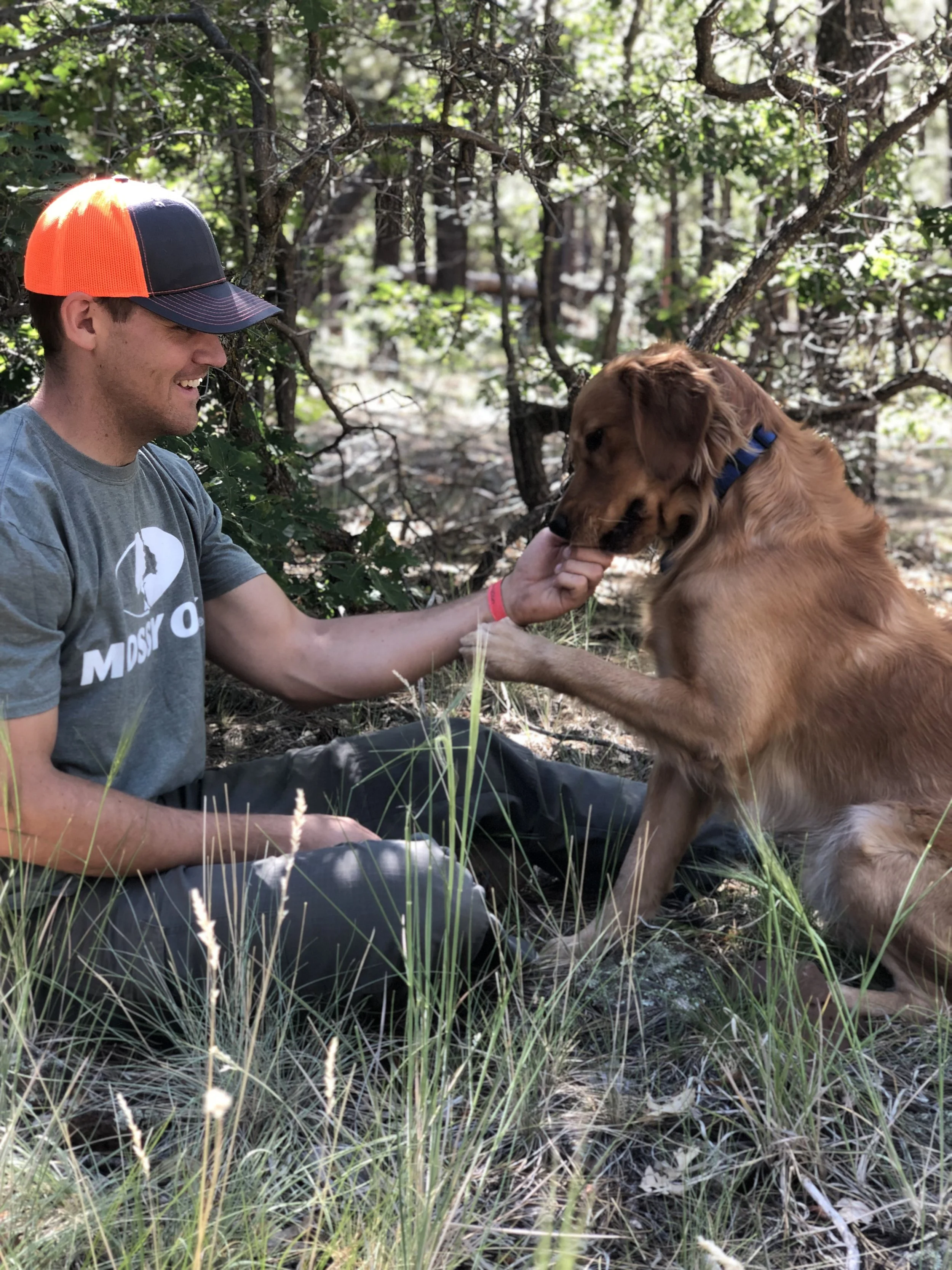 A man wearing a gray t-shirt and a black and orange cap sits in a forest clearing with tall grass. He is smiling and holding the paw of a golden retriever with a blue collar, who is leaning forward on its front paws. The forest background is dense wi