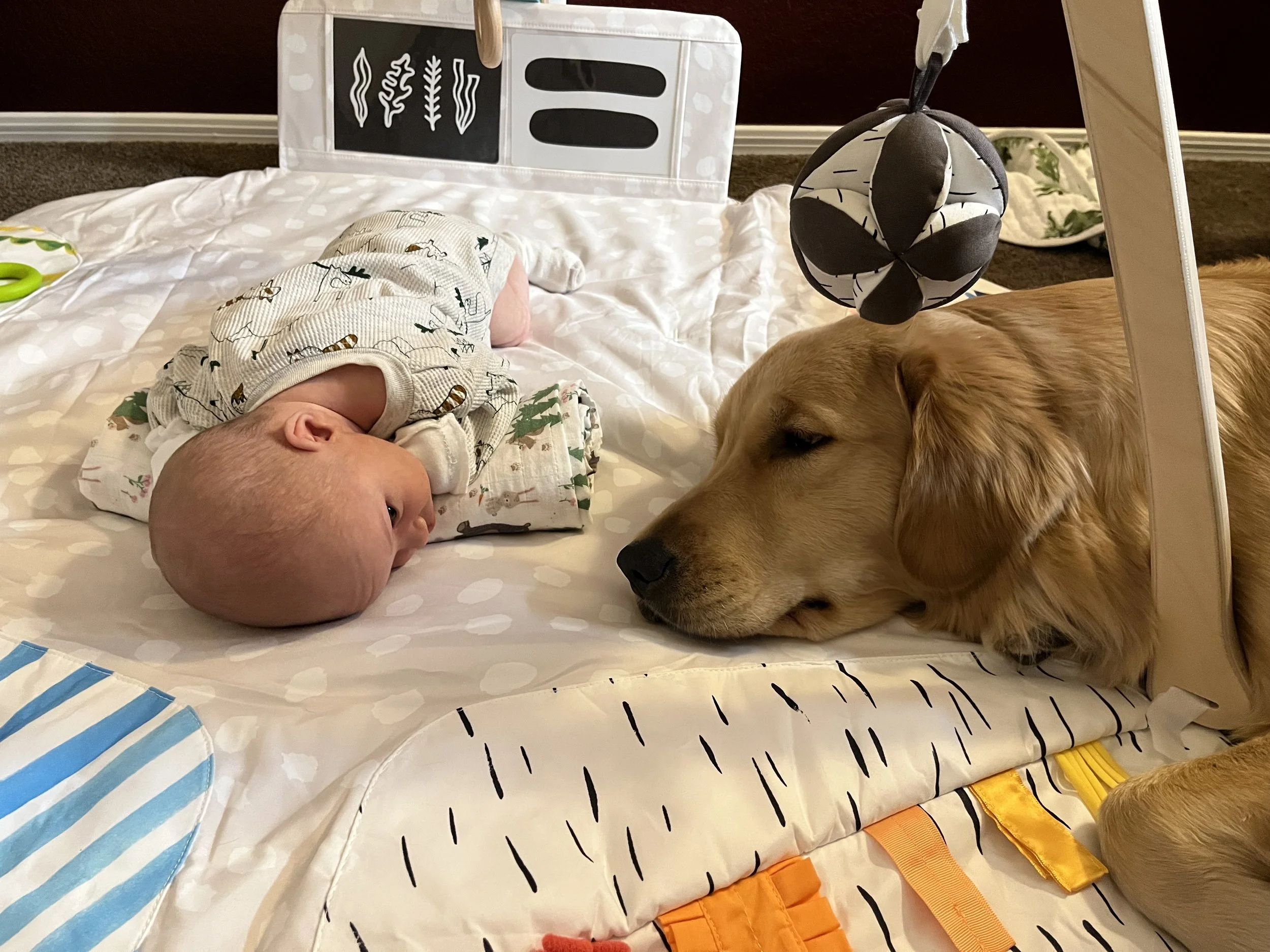 A newborn baby sleeping on a blanket, with a dog lying nearby. There is a hanging toy above them and a small decorative board in the background.