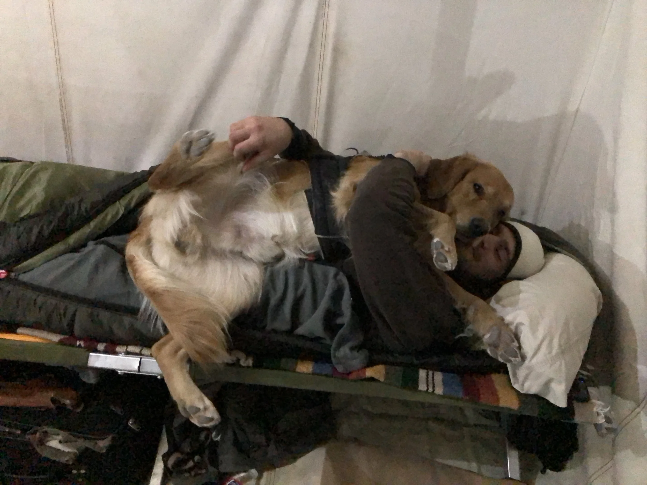 Person lying on a bed or couch, hugging a dog with long, golden fur. The person is wearing a beige cap and dark clothing. The dog appears relaxed and is resting against the person. The background shows a white wall.