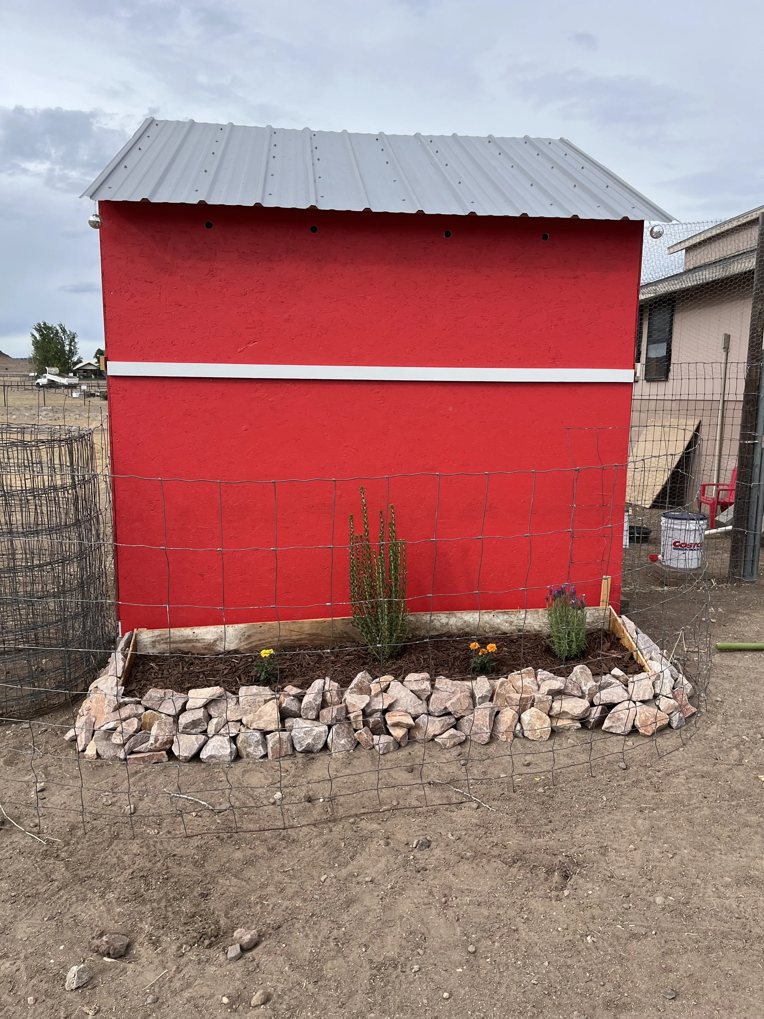 A small red building with a silver metal roof, surrounded by a garden bed with rocks and small plants, enclosed by wire fencing, with a cloudy sky in the background.