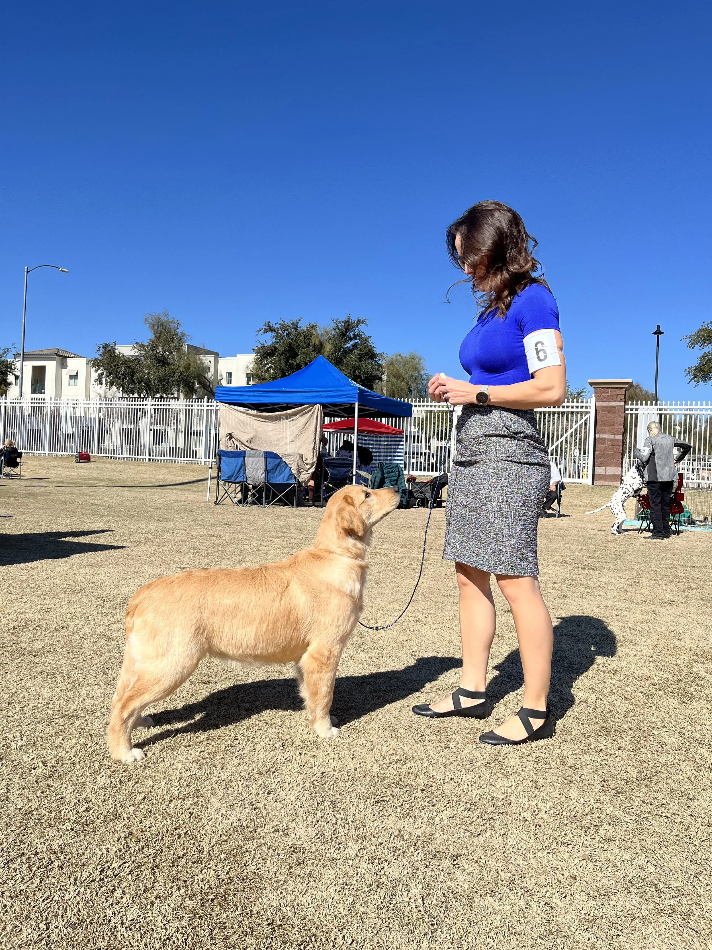 A woman with a blue shirt and gray skirt holding a leash attached to a golden retriever dog at an outdoor event on a sunny day. There are people, tents, and trees in the background.
