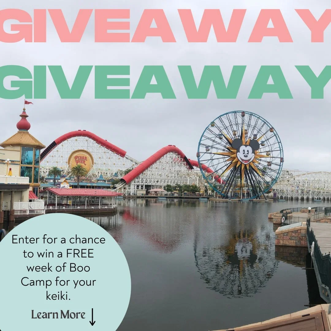 1 WEEK FREE GIVEAWAY TIME!
We&rsquo;re giving 1 lucky winner a FREE WEEK at Boo Camp at Manoa Elementary. October 5-9 from 7 am - 5 pm.
HOW TO ENTER:
&nbsp;&nbsp;&nbsp;&nbsp;1&nbsp;&nbsp;&nbsp;&nbsp;Follow @yamorihawaii
&nbsp;&nbsp;&nbsp;&nbsp;2&nbsp