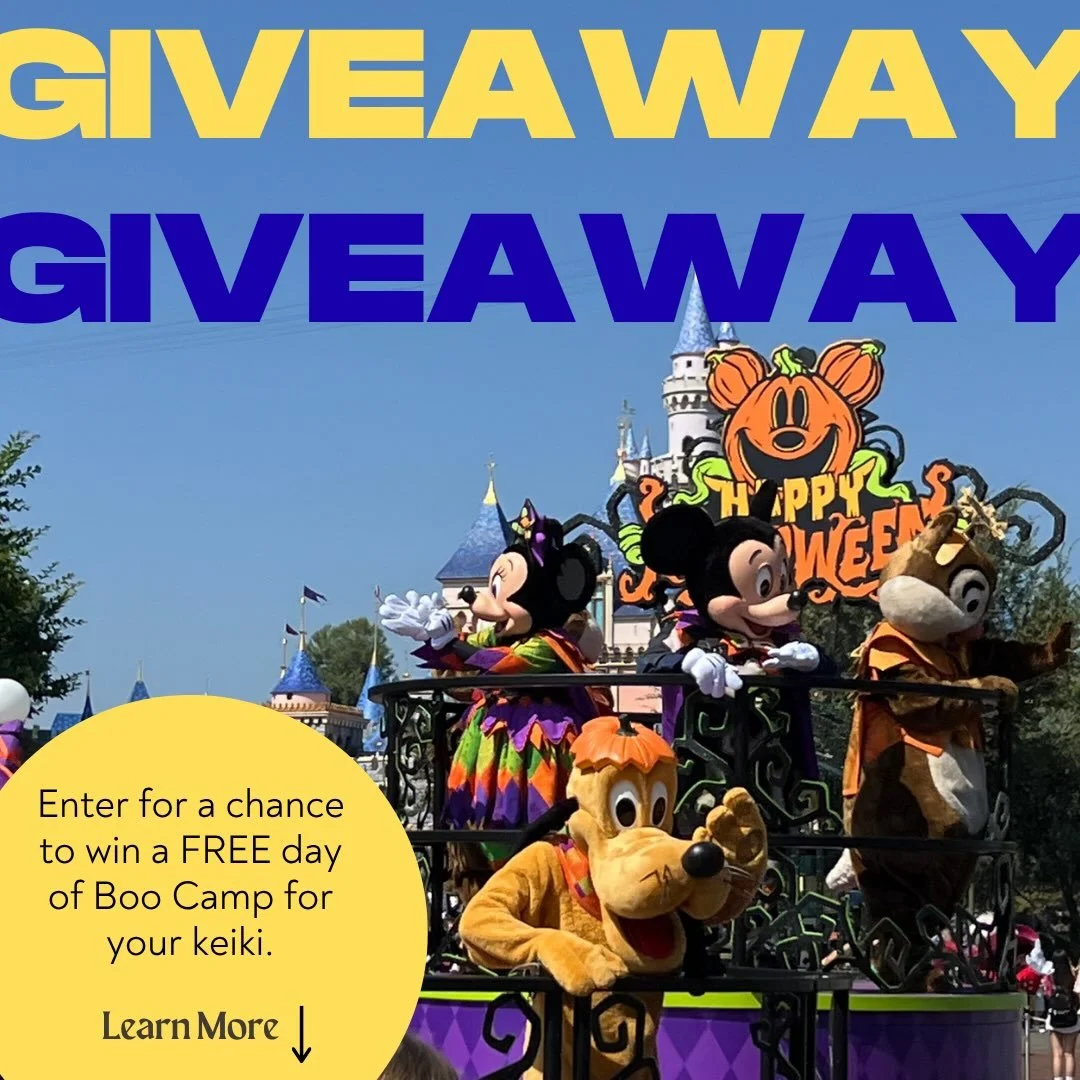 1 DAY PASS GIVEAWAY TIME!💙💛
For those who may not be off the whole week, we&rsquo;re giving 1 lucky winner 1 DAY PASS for Boo Camp at Manoa Elementary. Choose one day between&nbsp;October 5-9&nbsp;from 7 am - 5 pm.
HOW TO ENTER:
&nbsp;&nbsp;&nbsp;&
