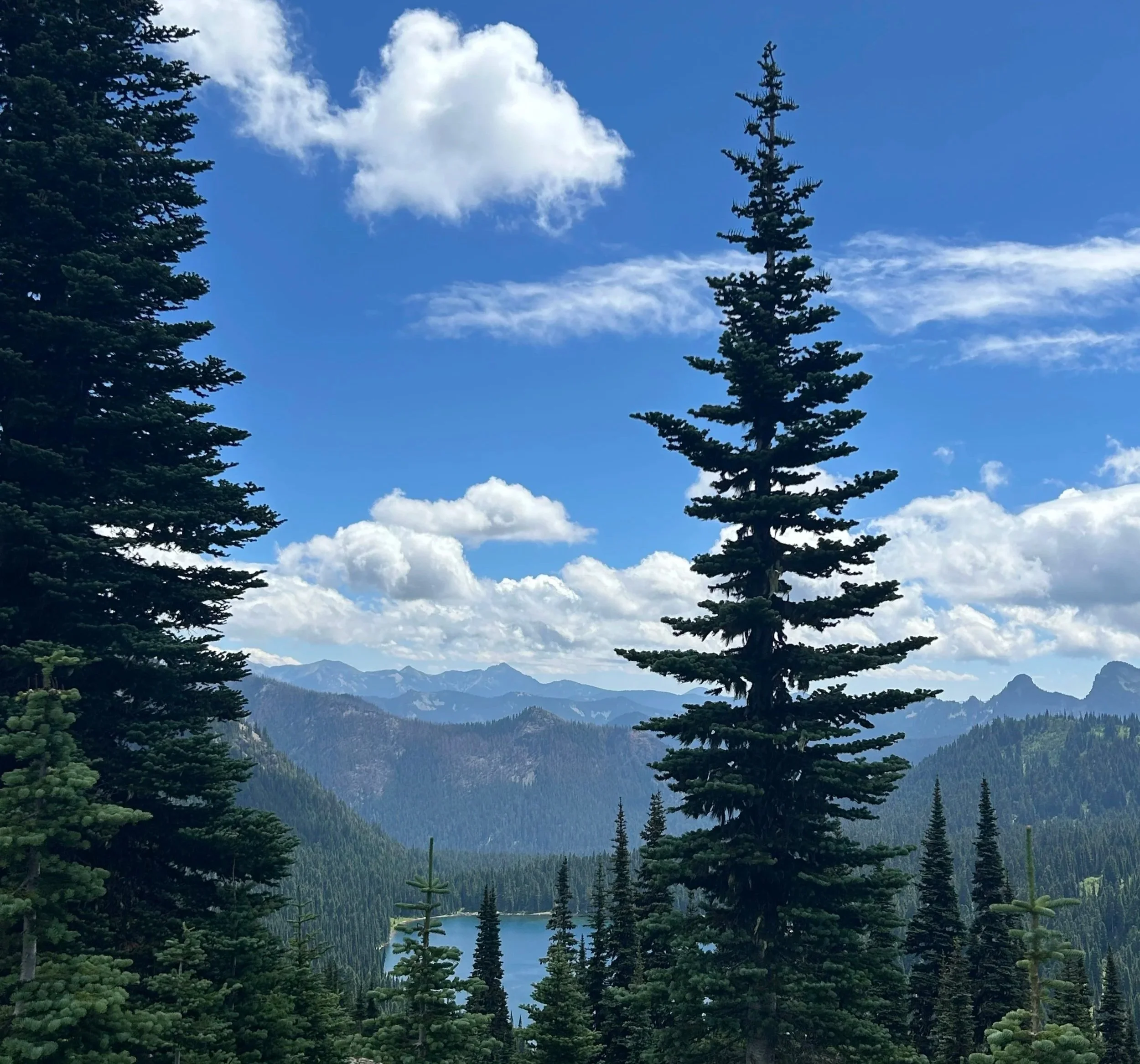 The Pacific Northwest