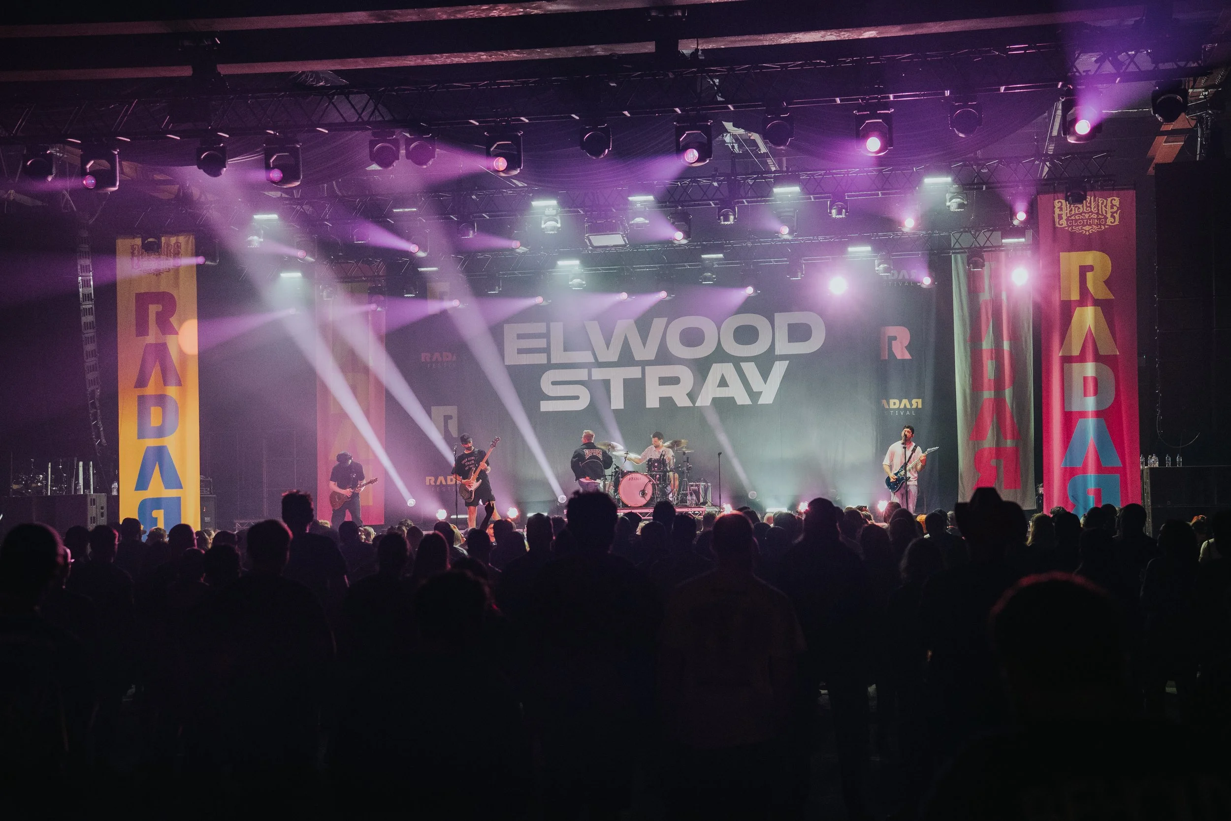 ELWOOD STRAY_CHARLIEBLUCK-15.jpg