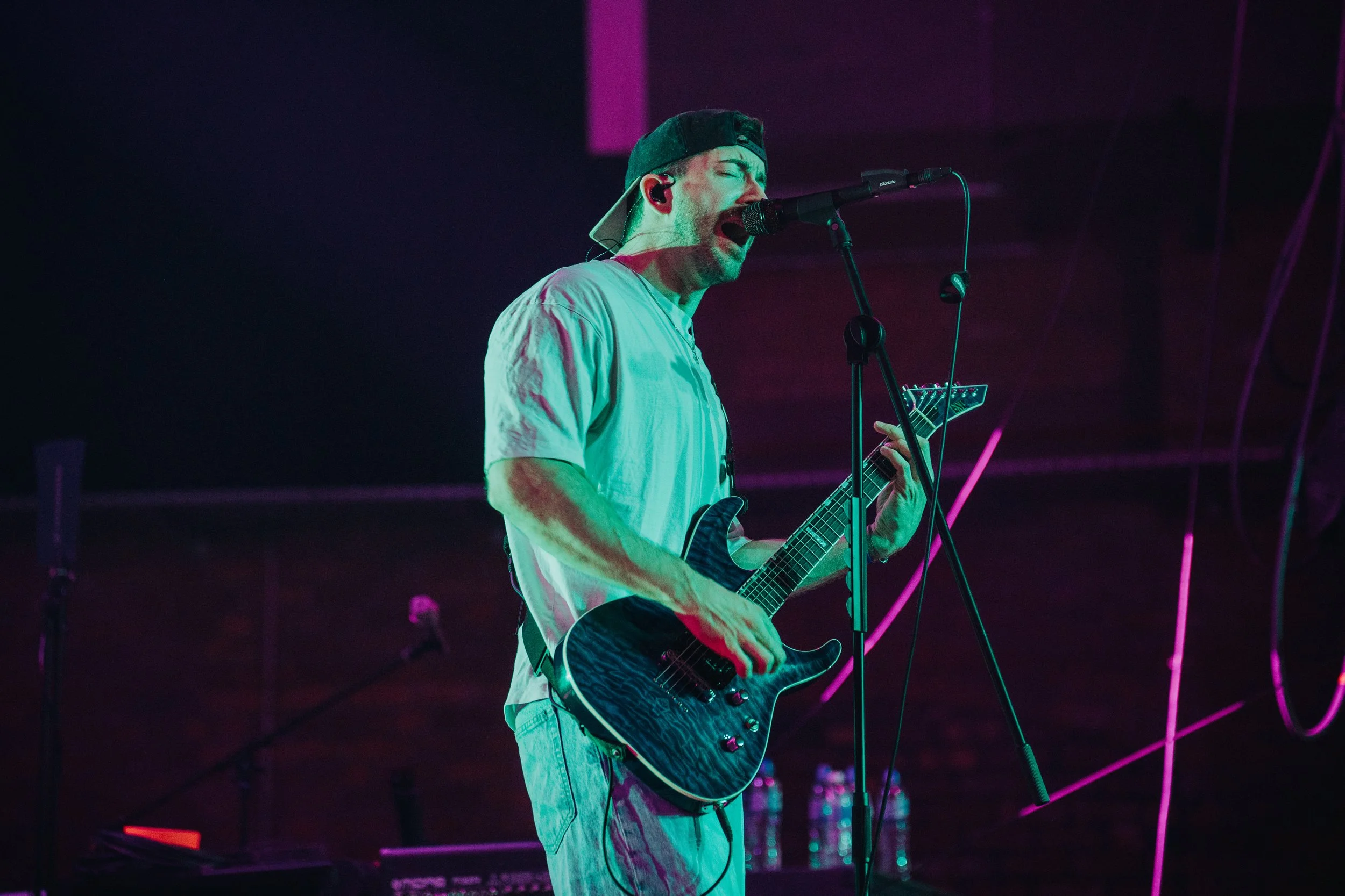 ELWOOD STRAY_CHARLIEBLUCK-6.jpg