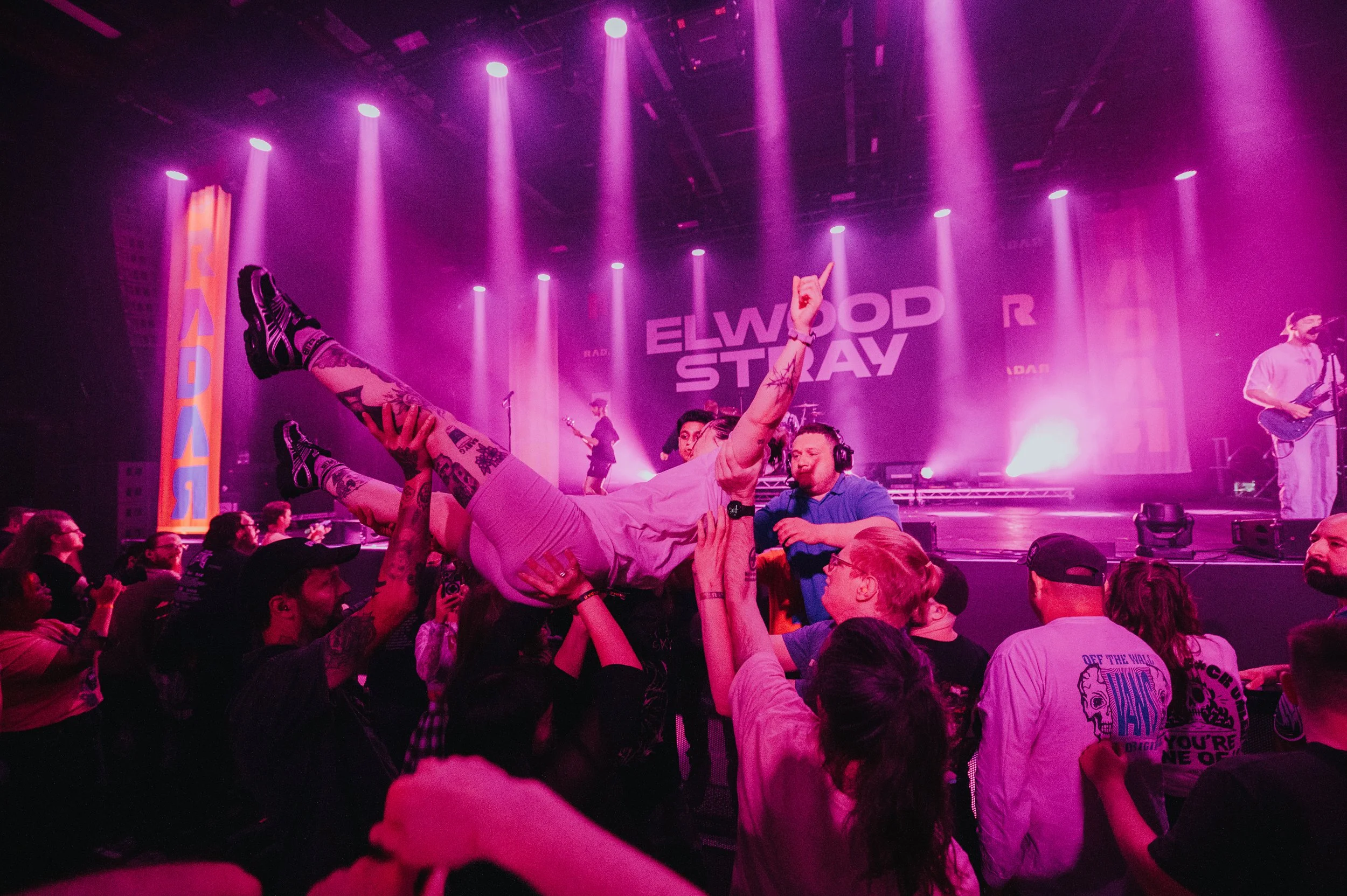 ELWOOD STRAY_CHARLIEBLUCK-10.jpg