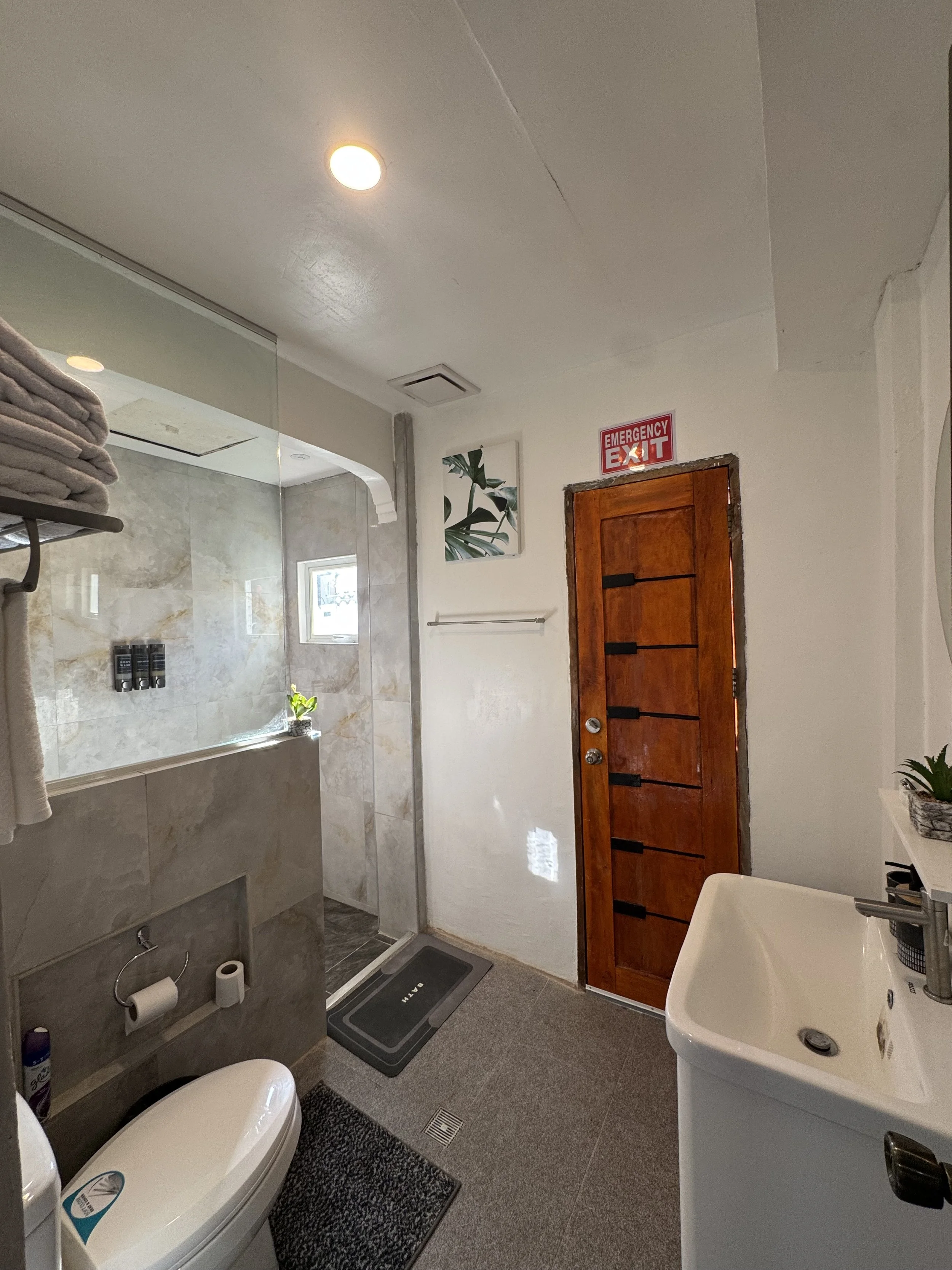 A small bathroom with a walk-in shower in the corner, a white toilet, a white sink, and a wooden door with an 'Emergency Exit' sign above it. There are towels on a shelf, a small picture on the wall, and a potted plant near the window. The floor has 