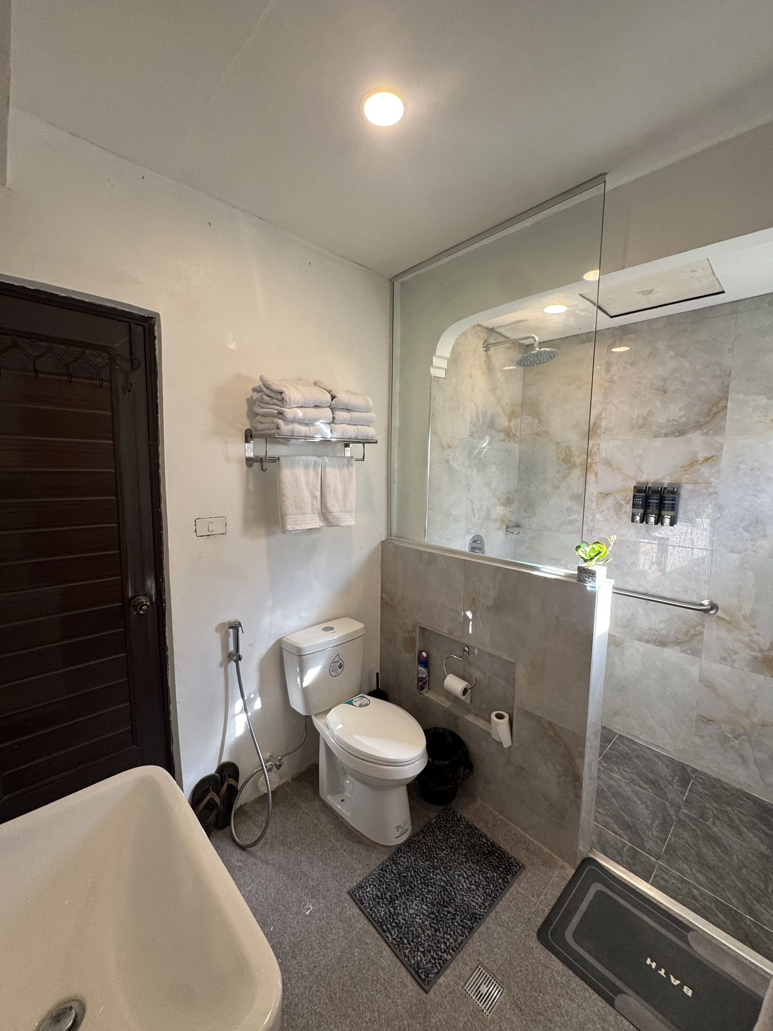 Bathroom with a white toilet, a shower with a glass partition, towel racks with white towels, and a small potted plant near the shower. The floor has two rugs, and there is a black trash bin and a black shoe rack.