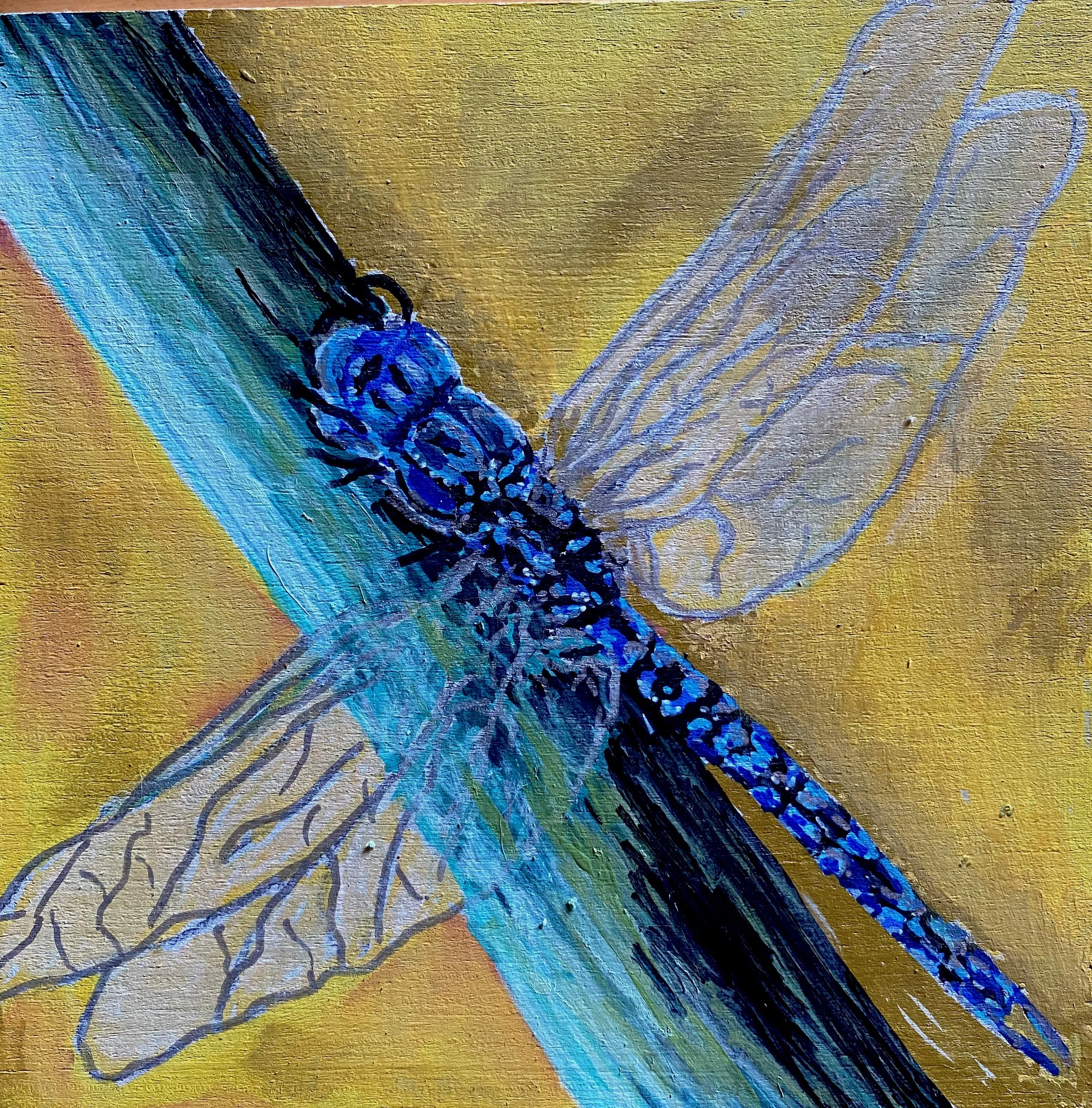 Blue Wings