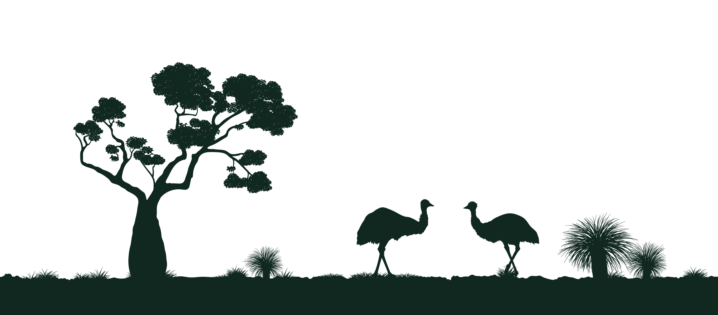 Silhouette of a large tree, two emus, and various Australian plants on a blank background.