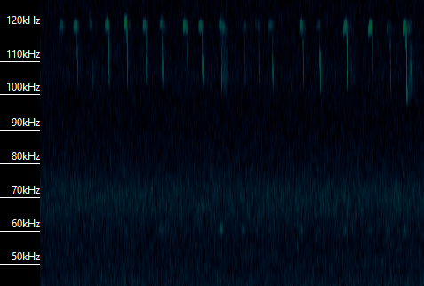 Spectrogram displaying frequency spectrum from 50kHz to 120kHz, with various peaks indicating high-frequency sounds or signals.