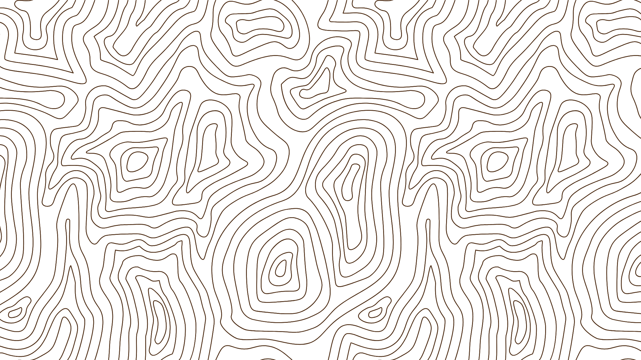 A black background with orange contour lines resembling a topographic map.