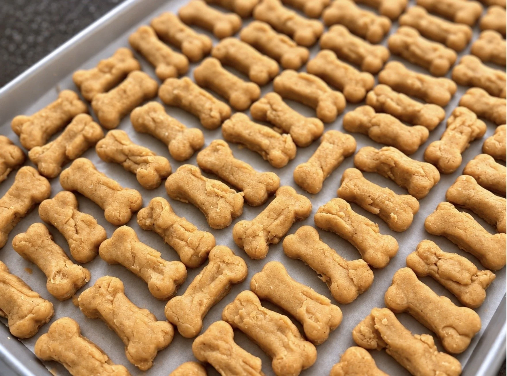 Dog Treats