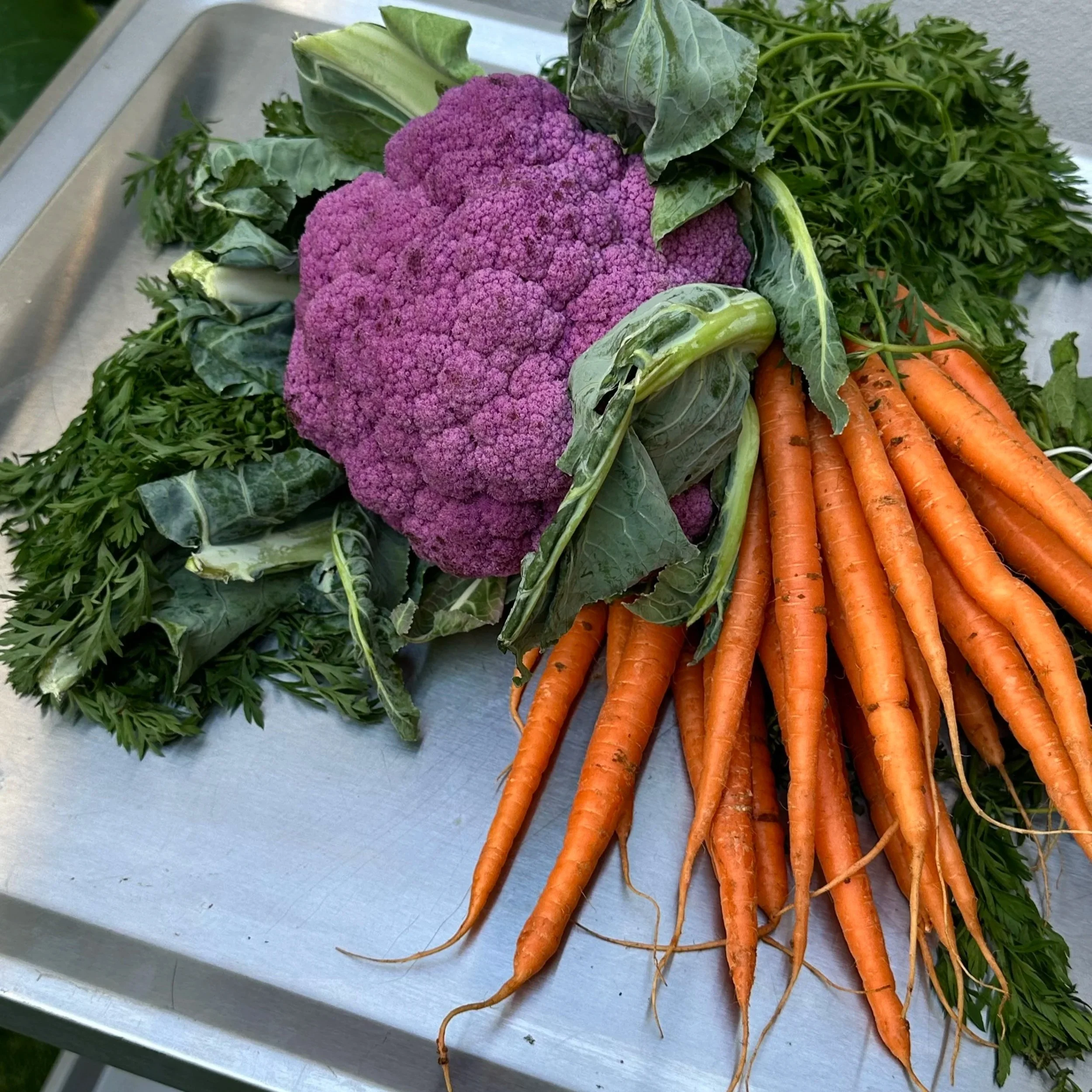 Close-up image of fresh vegetables including purple cauliflower, carrots, and leafy greens on a metal surface.