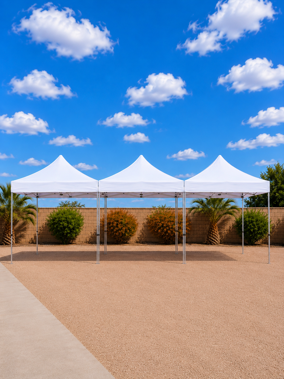 Pop-Up Canopy Tents