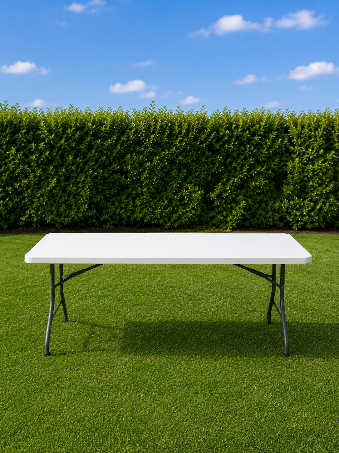 6' Rectangle Table