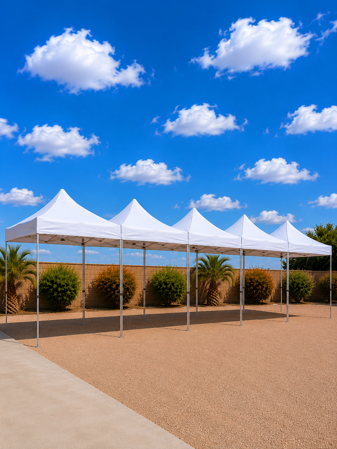 Pop-Up Canopy Tents