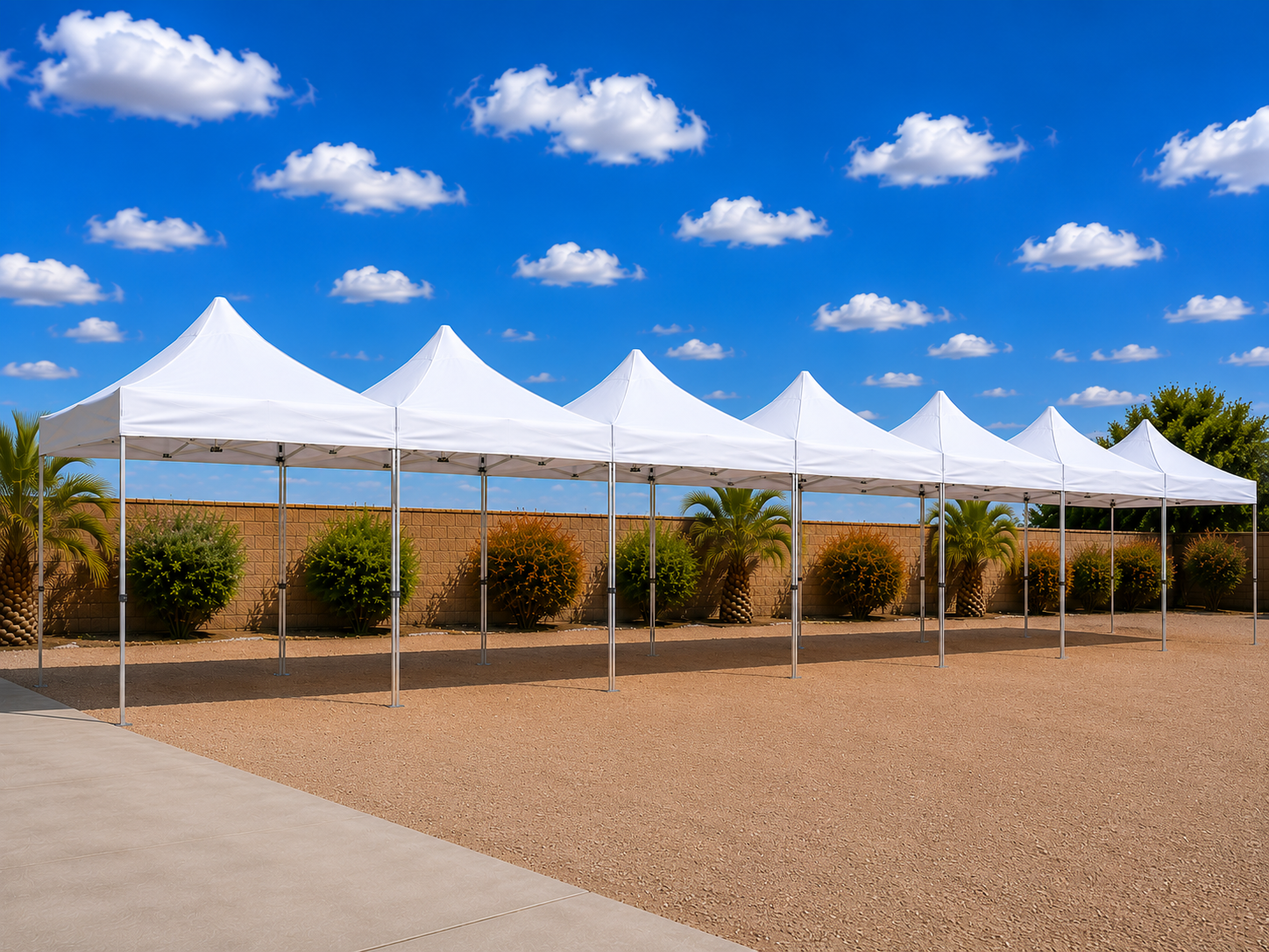 Pop-Up Canopy Tents
