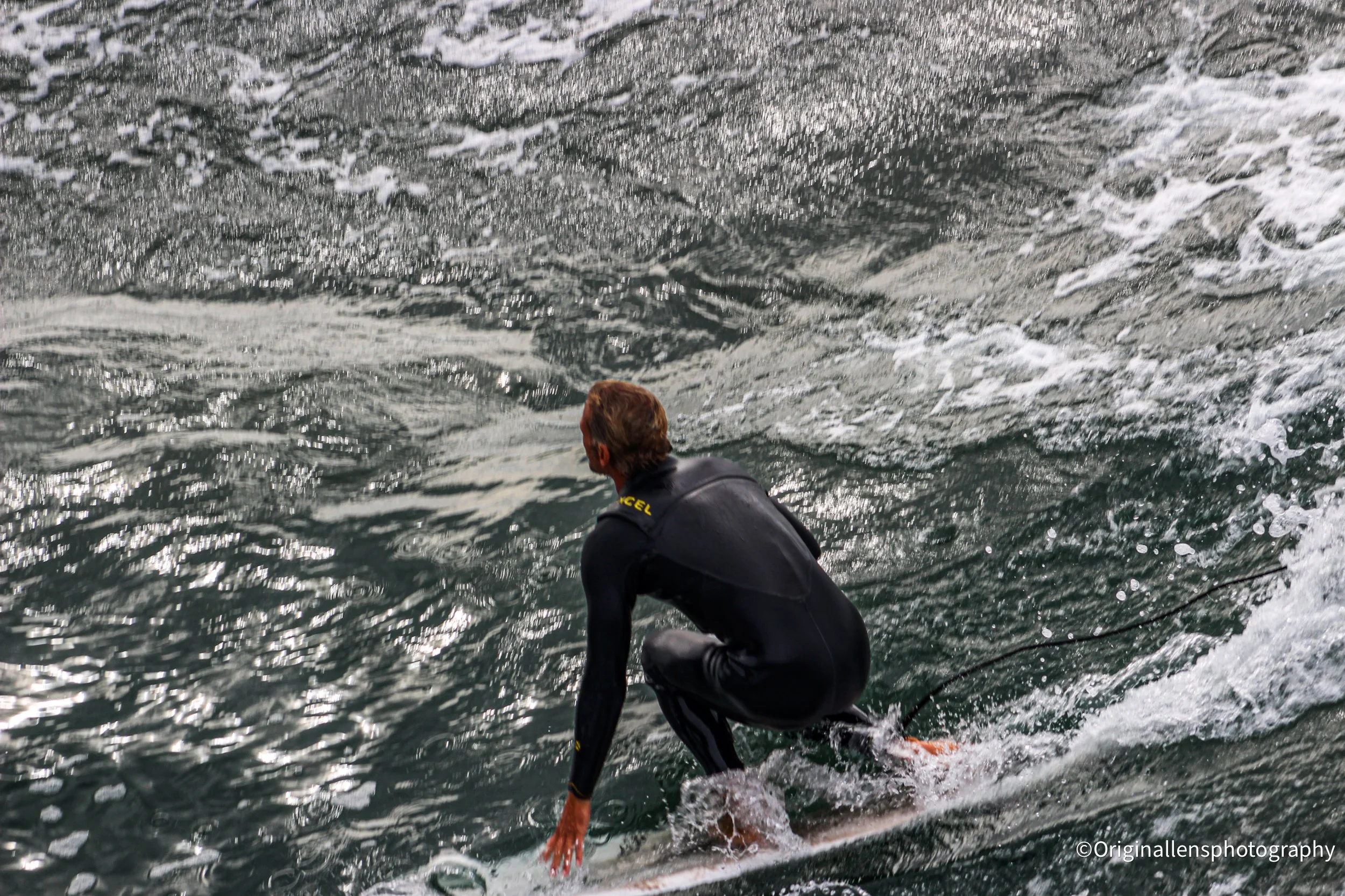 Surfs up!